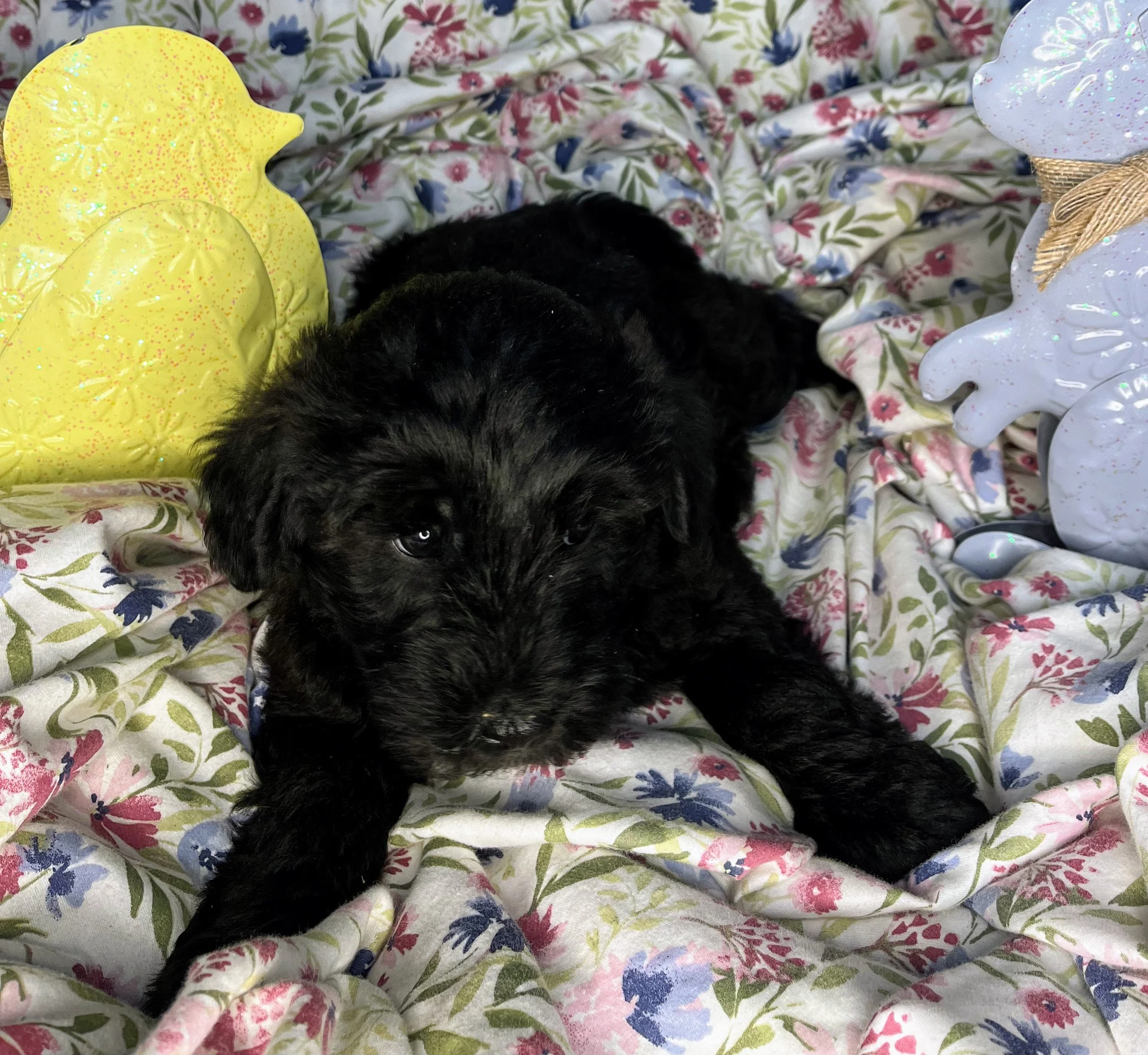 Mars 04132026 (2).jpg