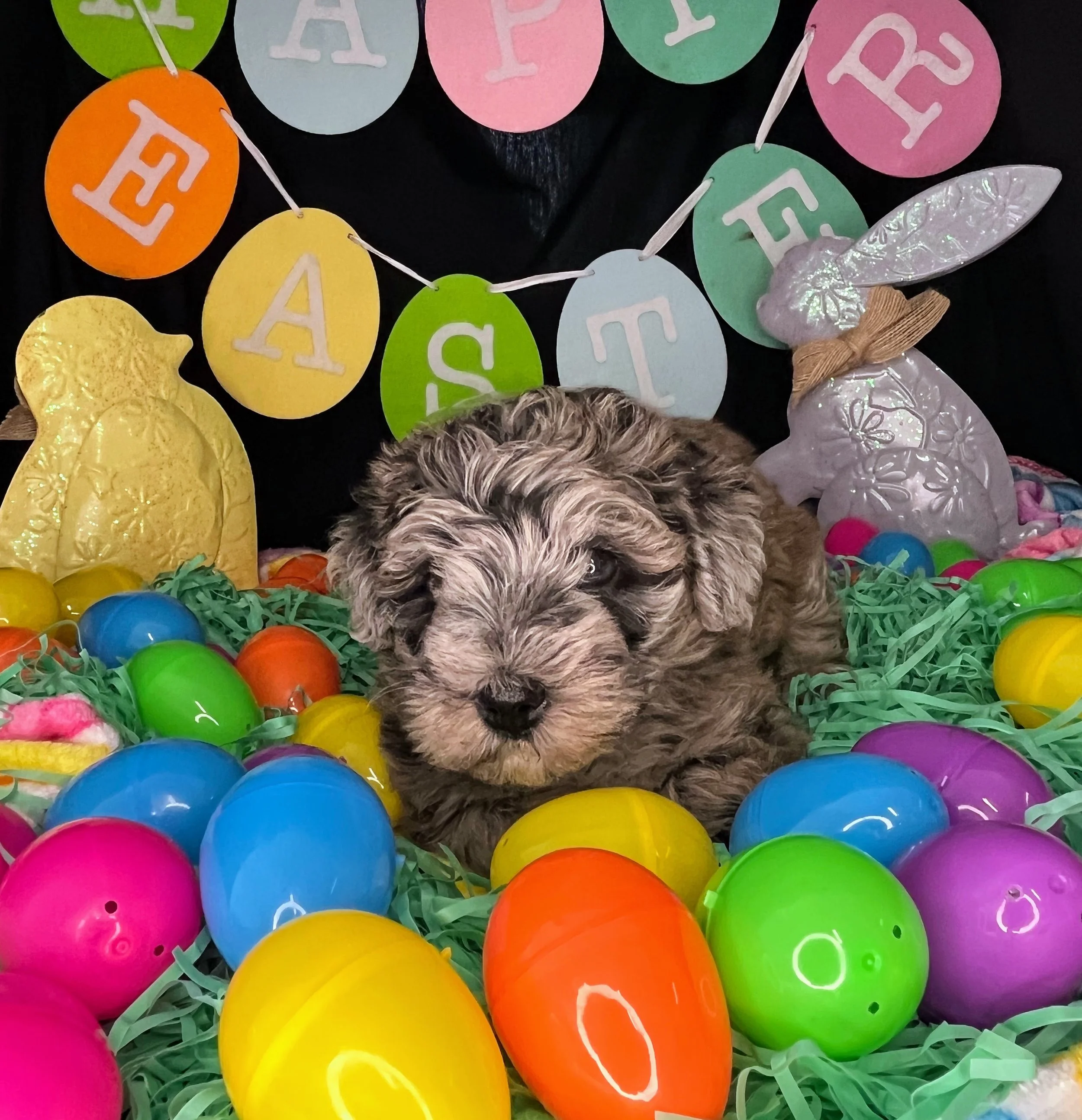 Twix 04032026 (2).jpg