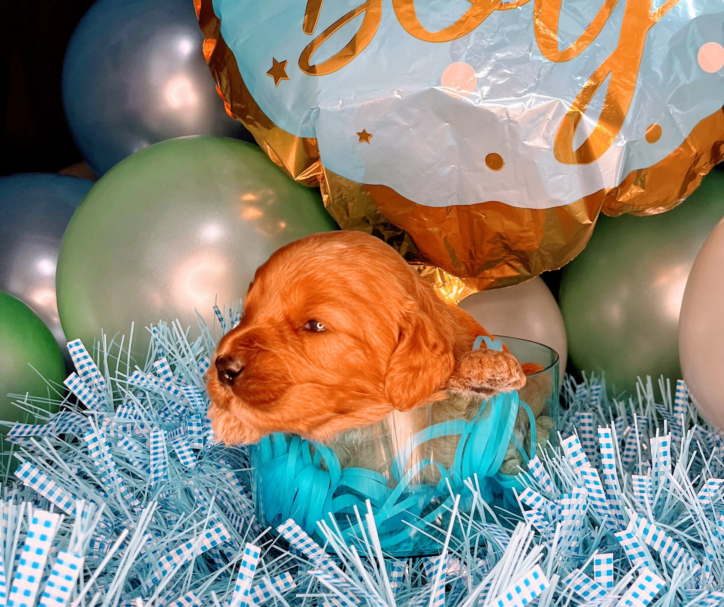 Monte - blue (5).jpg