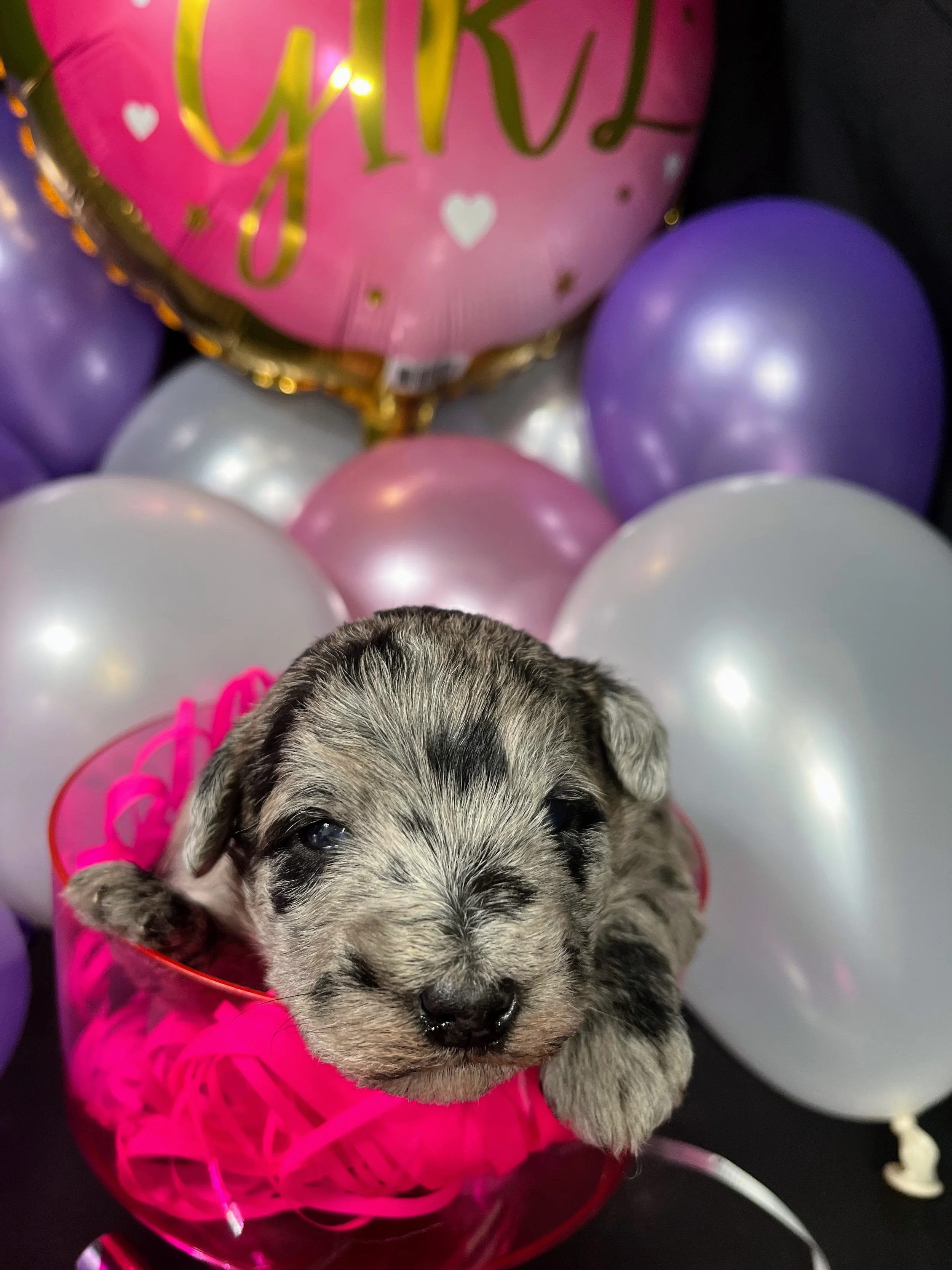 Pink girl - Twix.jpg