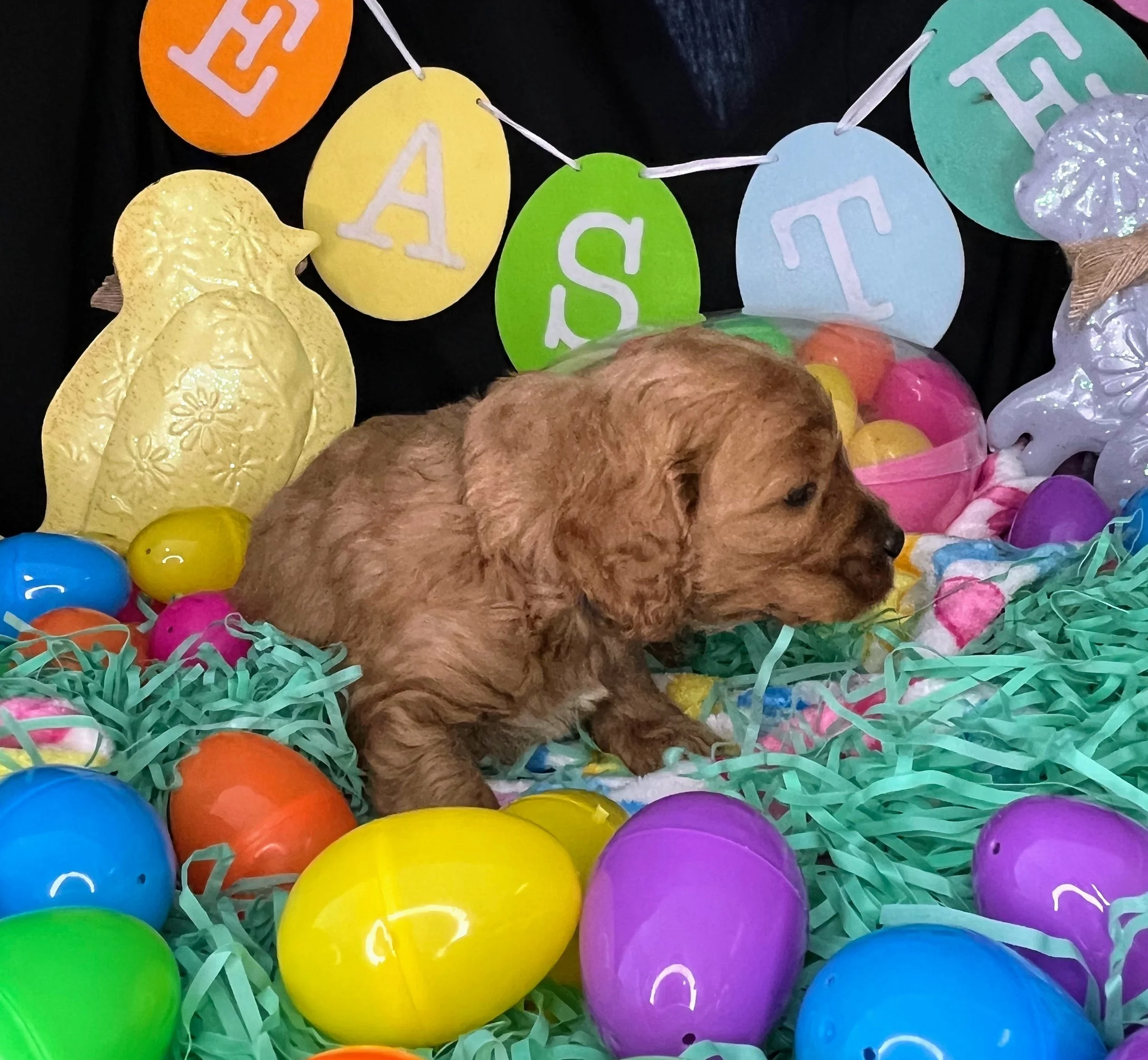 Monte 04032026 (3).jpg