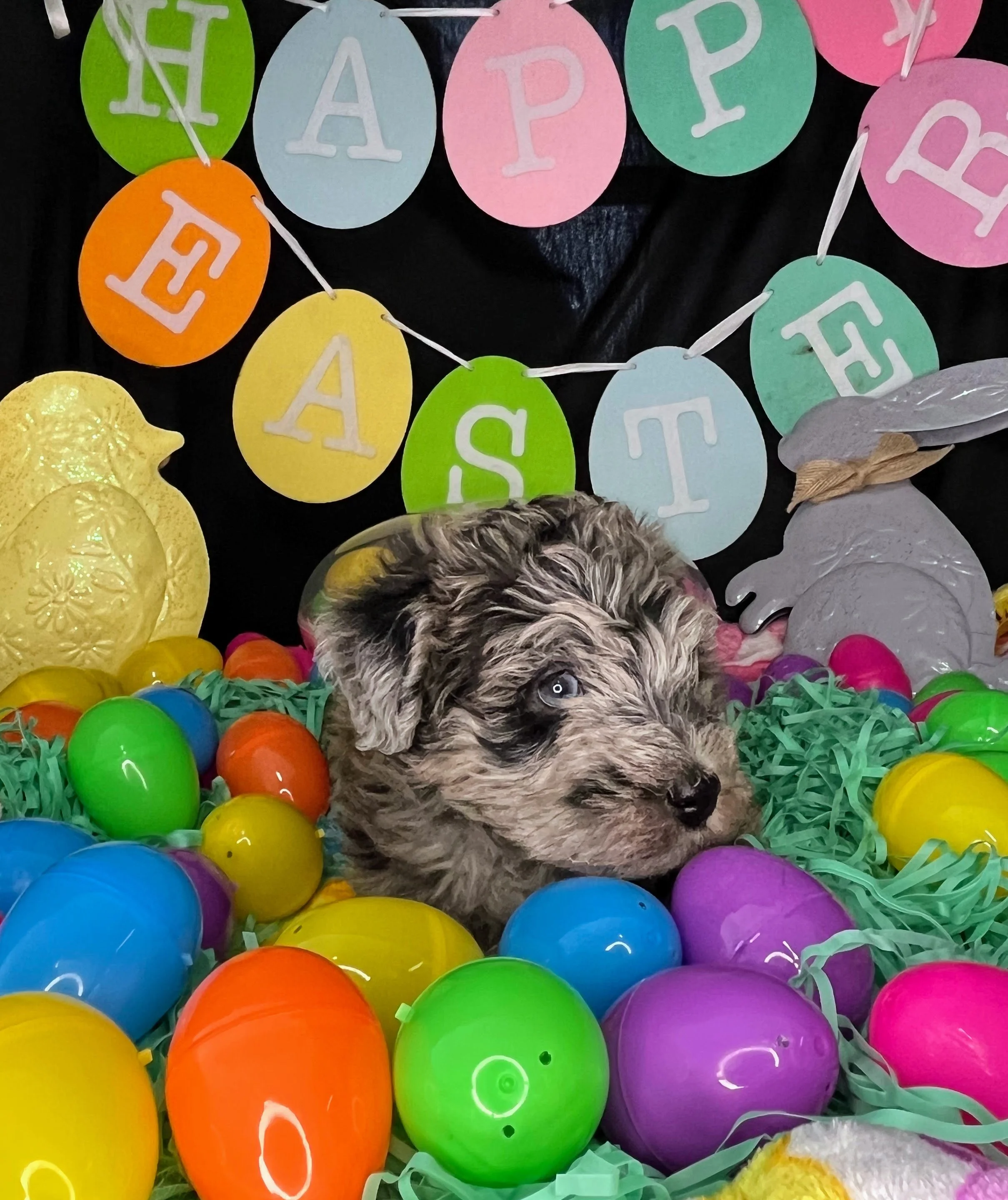 Twix 04032026 (5).jpg