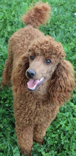 penny-img5.jpg