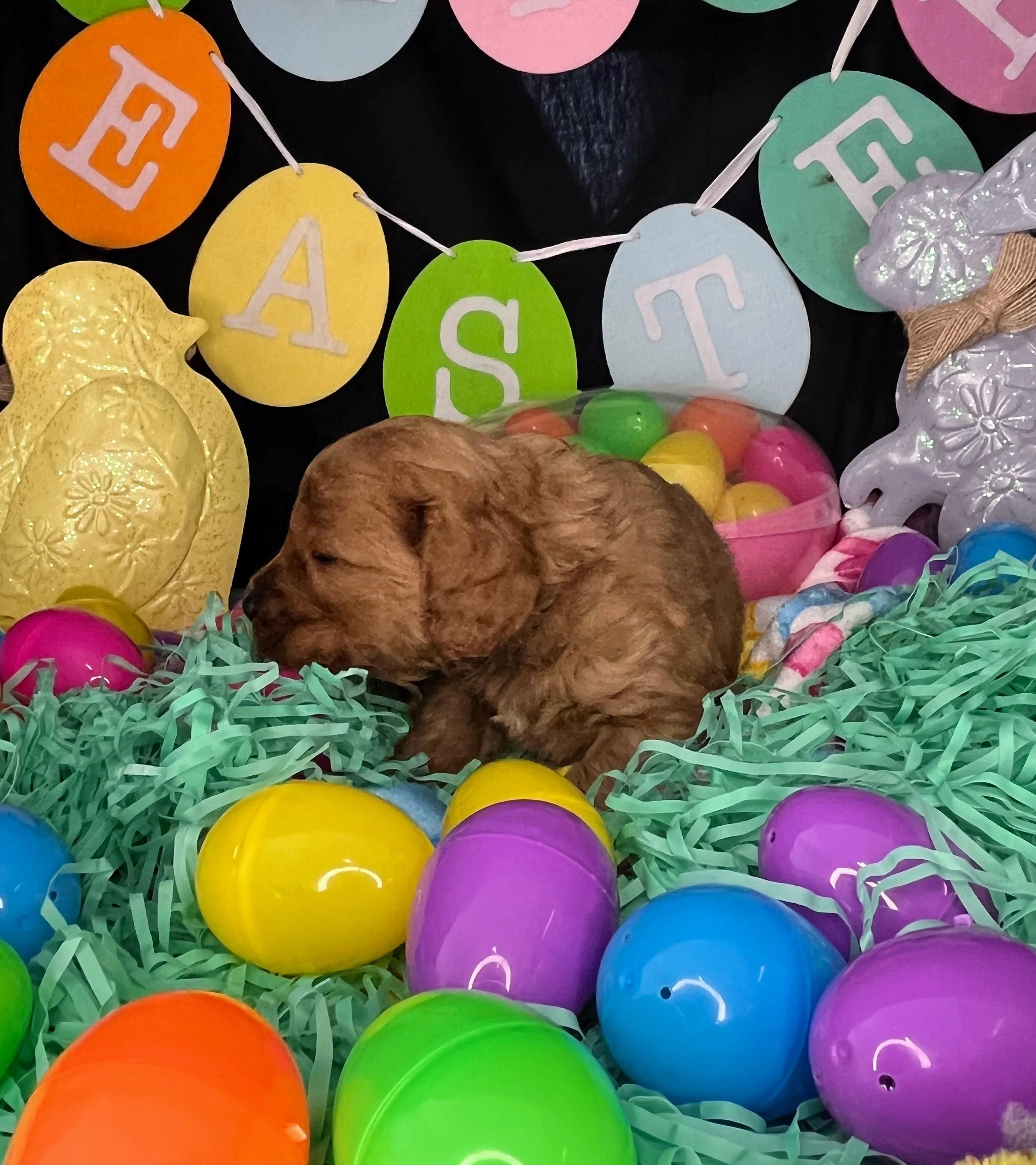 Monte 04032026 (5).jpg