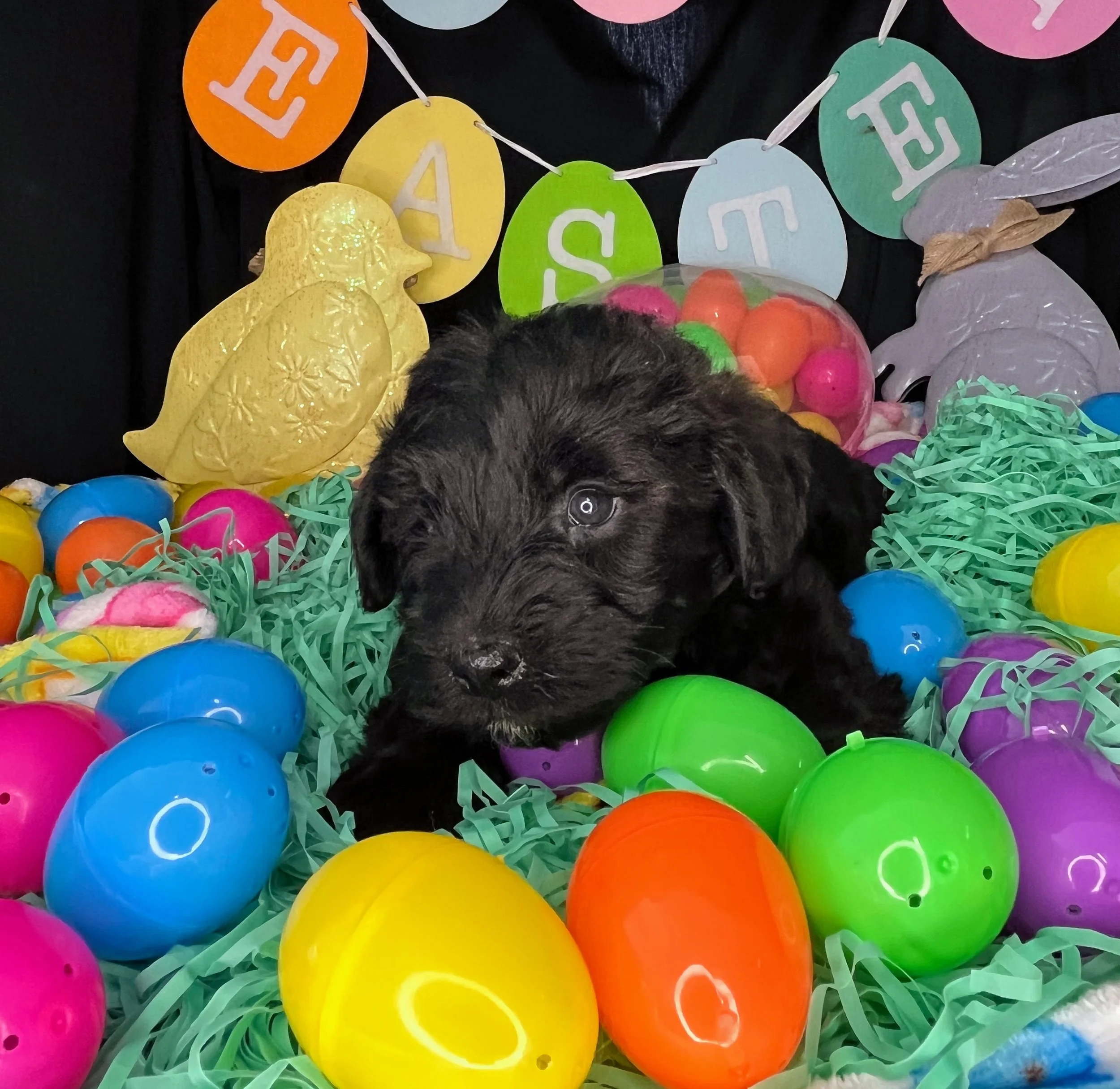 Mars 04032026 (3).jpg