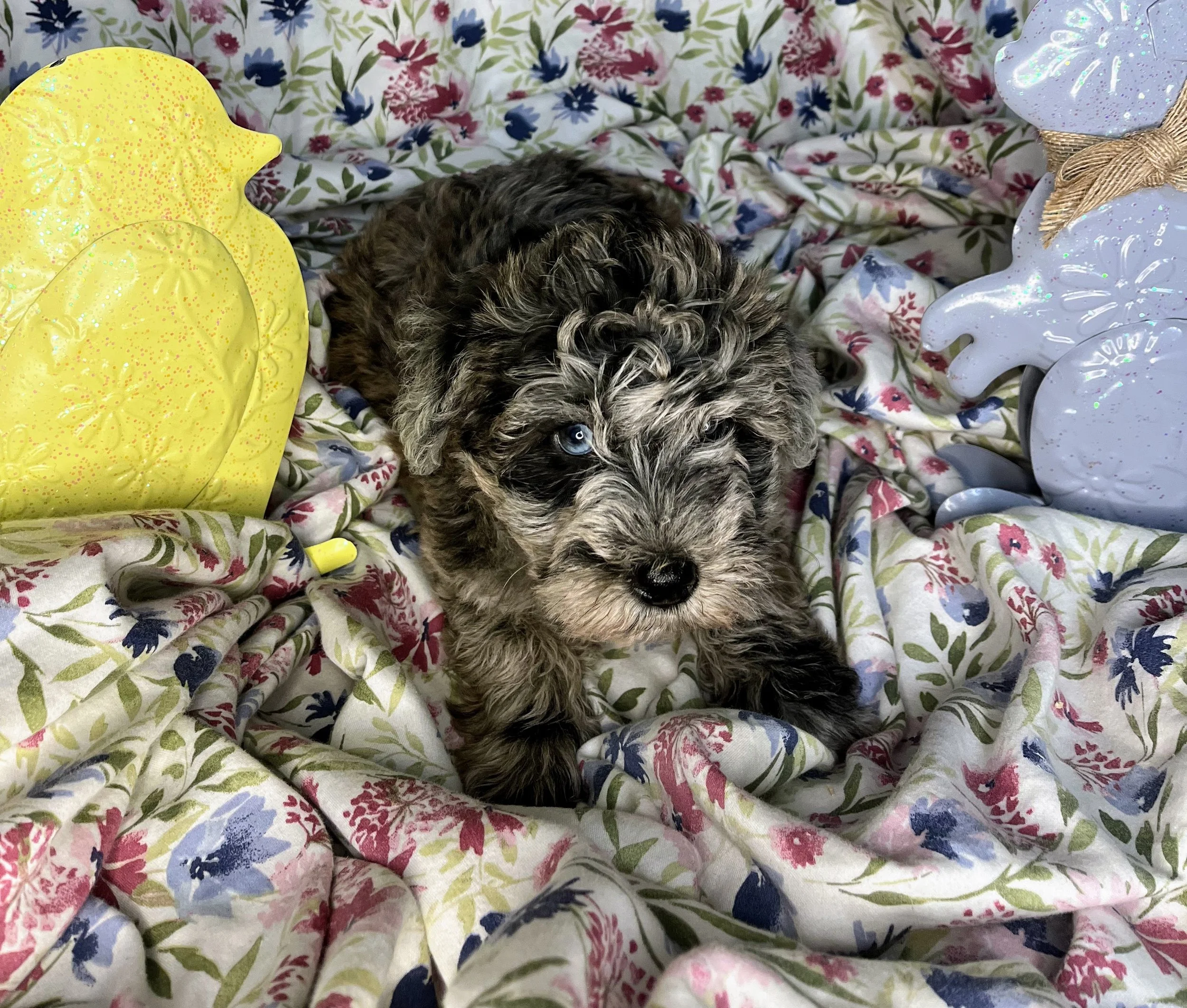 Twix 04132026 (1).jpg