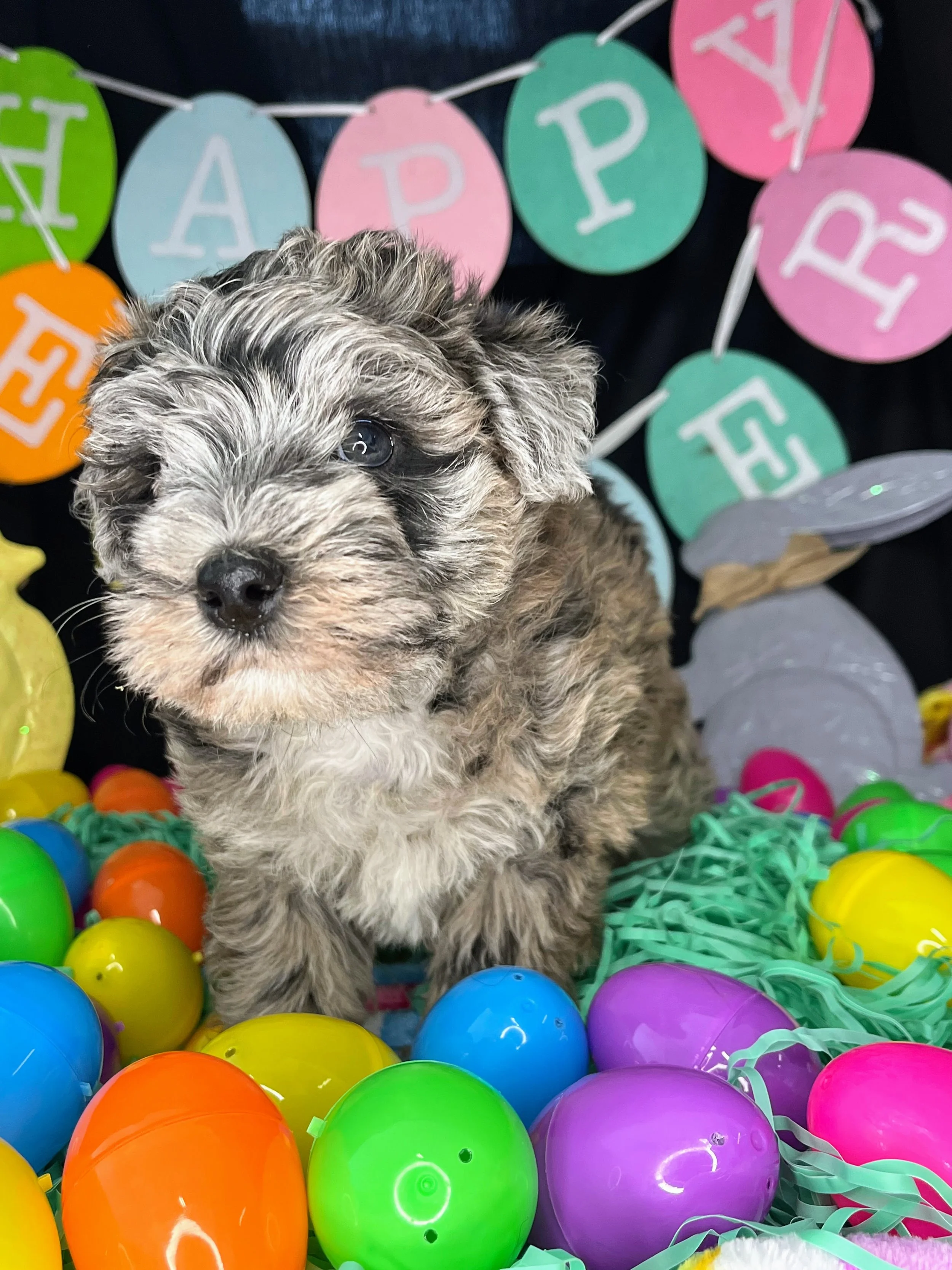 Twix 04032026 (1).jpg