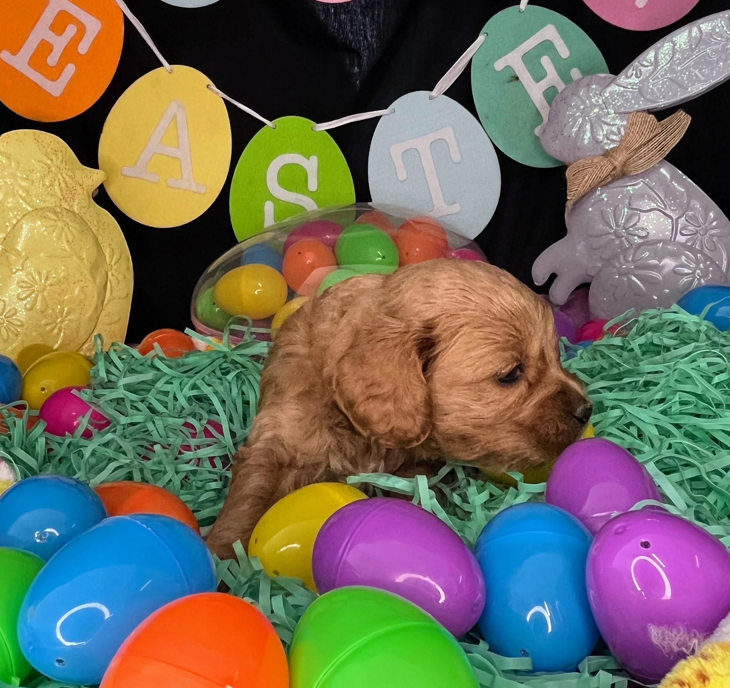 Astro 04032026 (1).jpg