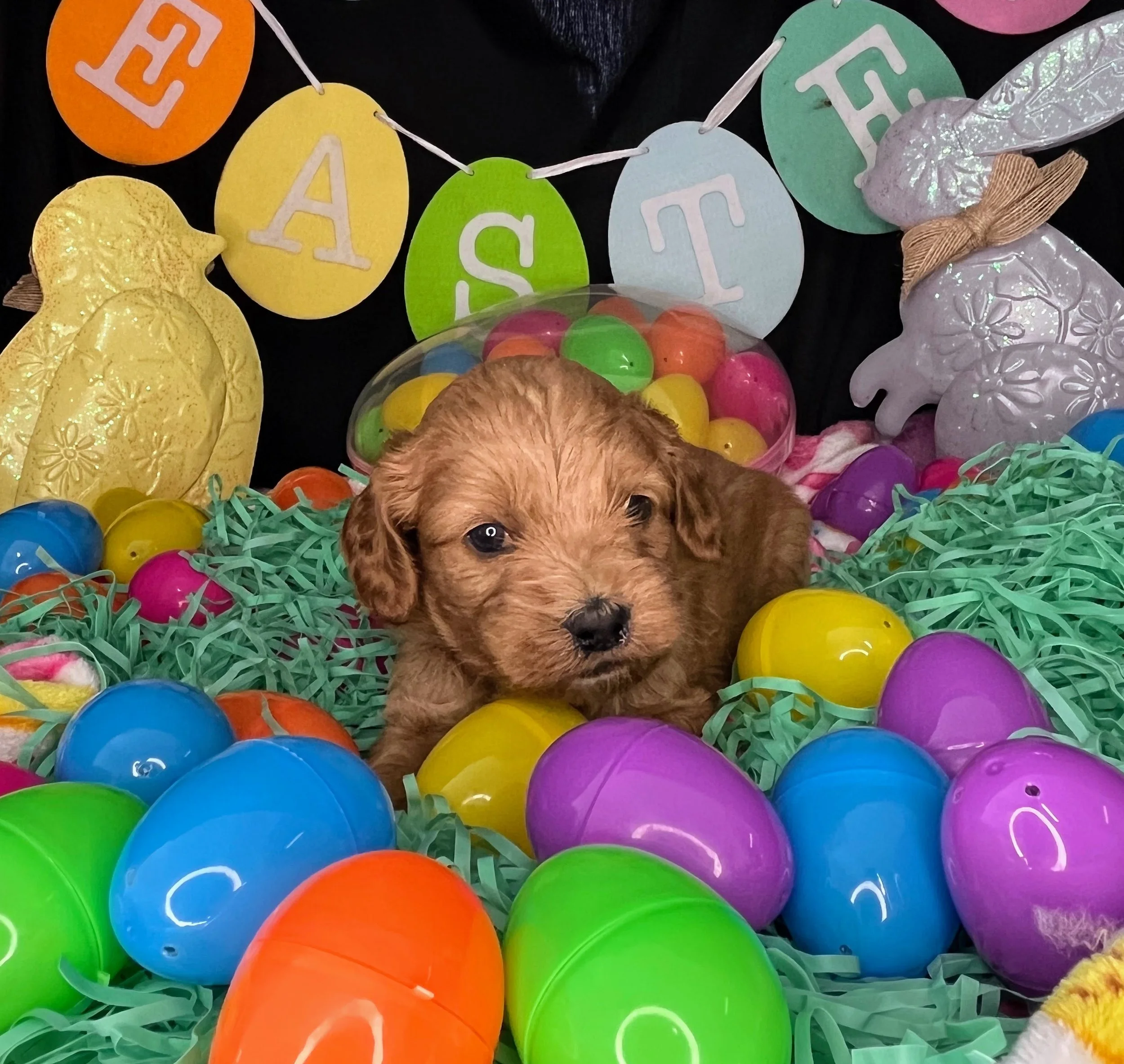 Astro 04032026 (3).jpg