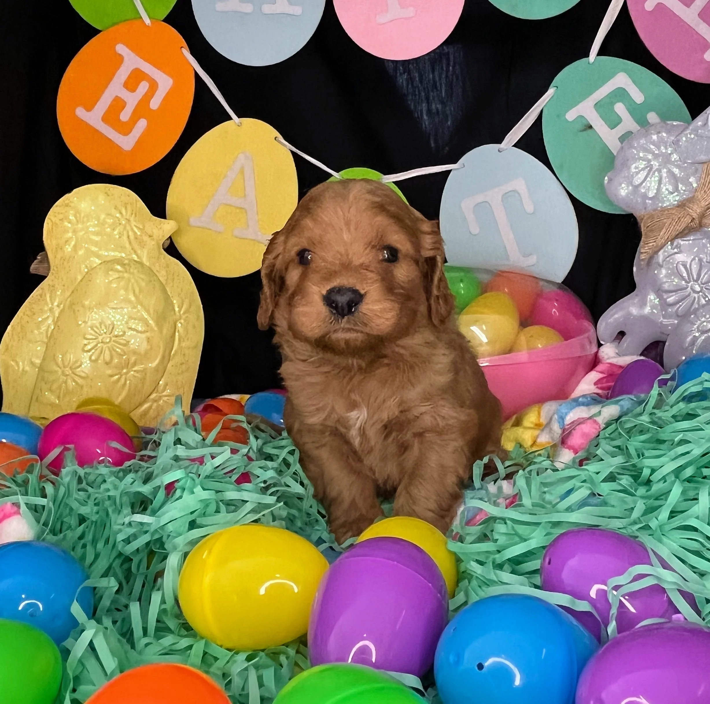 Monte 04032026 (4).jpg