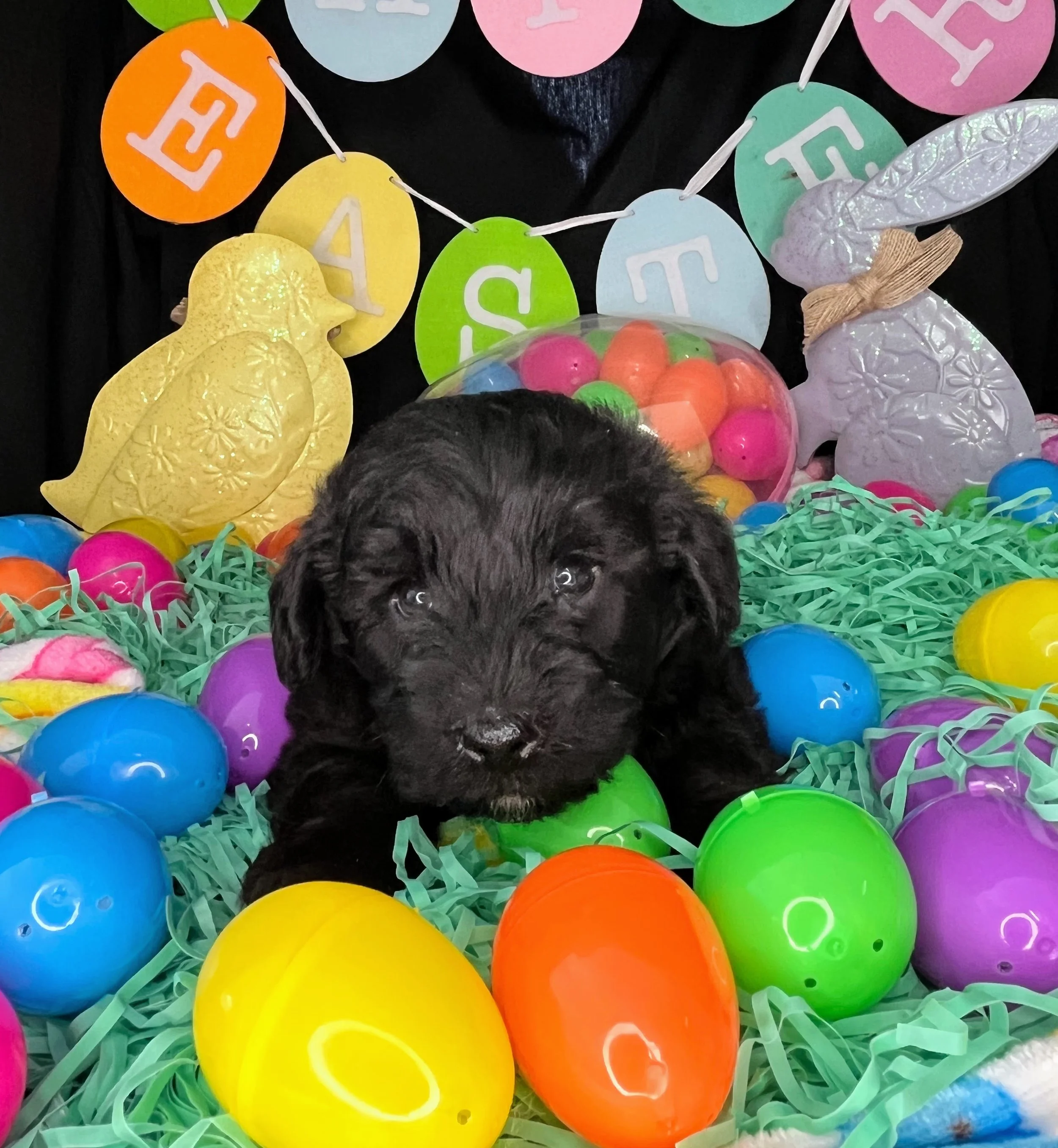 Mars 04032026 (4).jpg