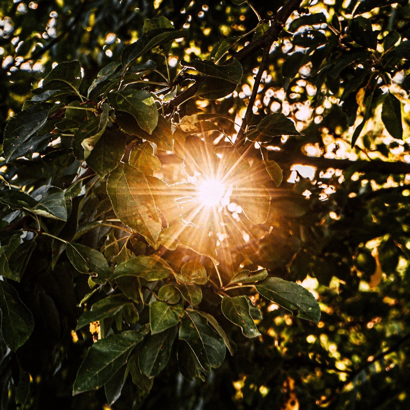Feeling vs. Sensing: How to differentiate intuition from emotion in spiritual practice