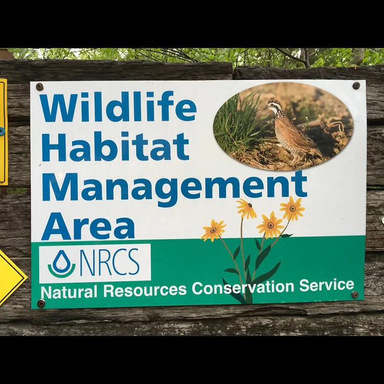 Conservation & Land Management — WBWF