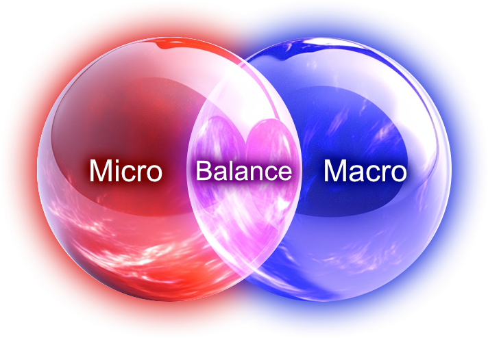 A Venn diagram with two overlapping circles labeled 'Micro' in red and 'Macro' in blue, with the overlapping area labeled 'Balance' and a purple globe in the background.