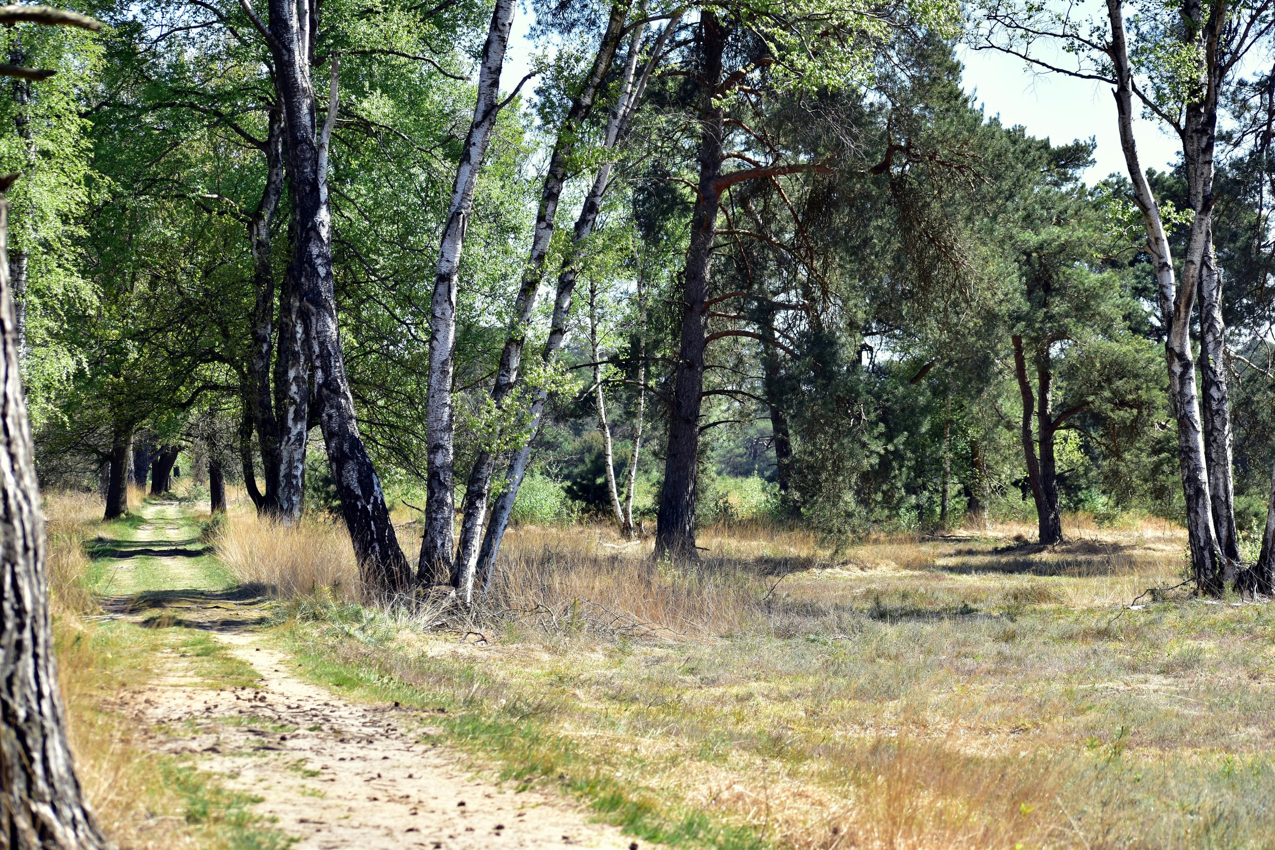 We’re All Going Somewhere