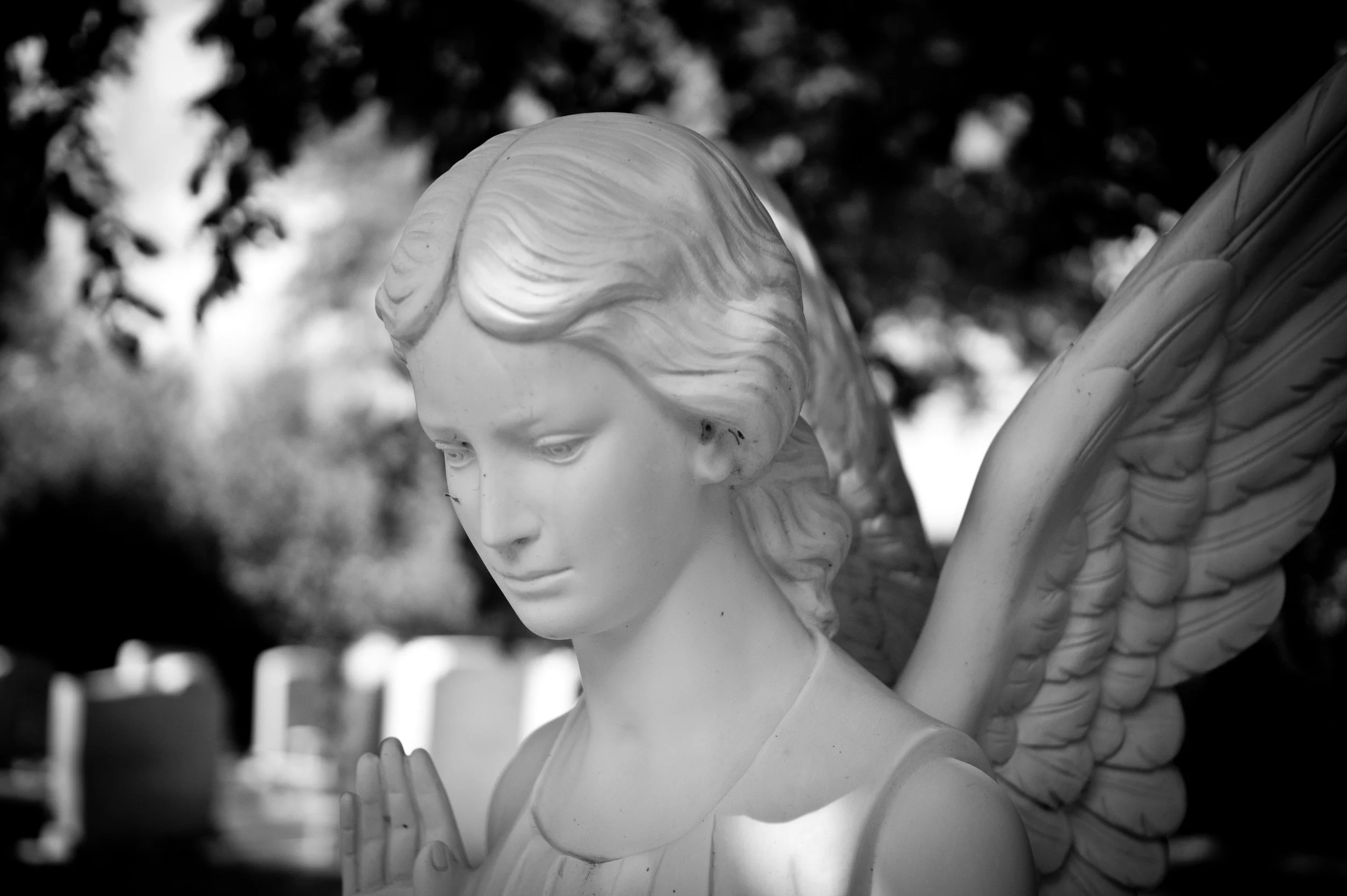 Holy Guardian Angels, pray for us!