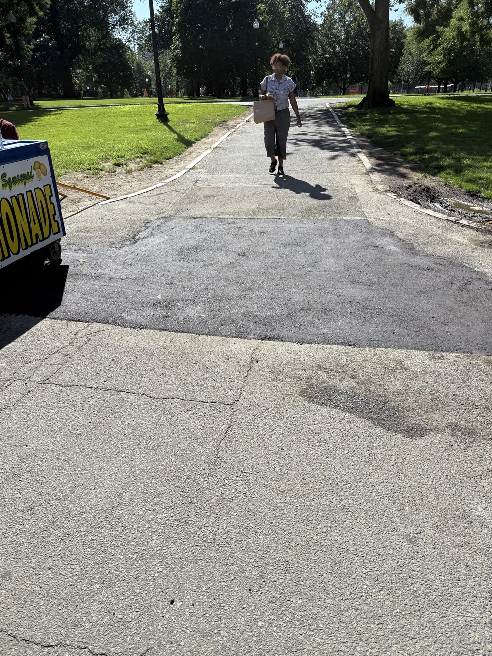 IMG_1661_Boston Common.jpeg