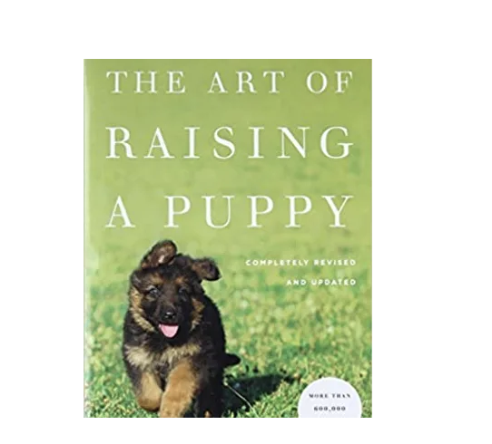 The Art Of Raising A Puppy