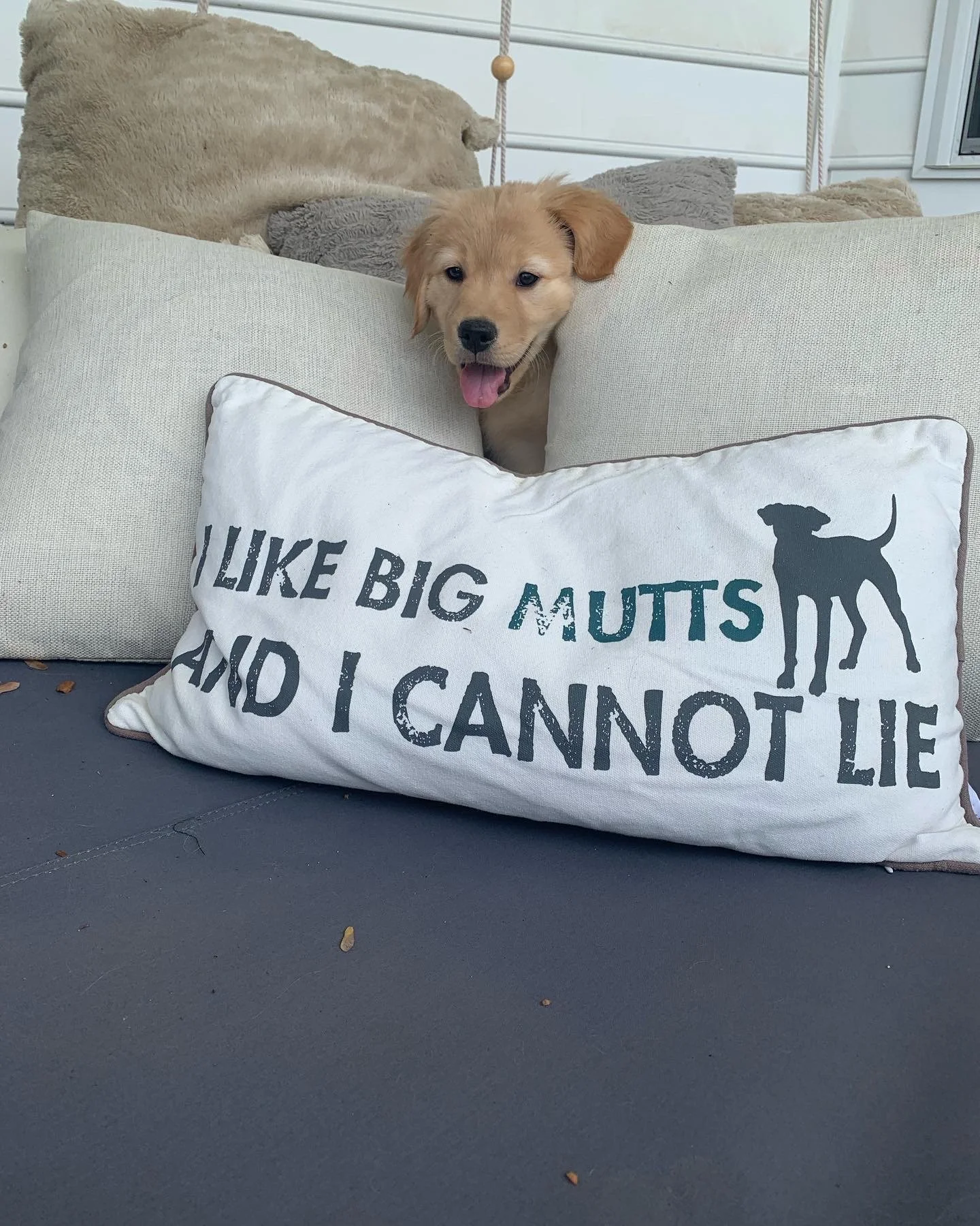 68E05CB1-C40A-46AA-9CFB-F7440BB6E25D (1).JPG