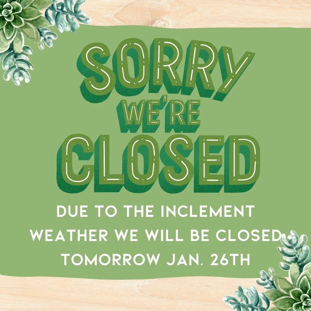 ..
.
.
.

#ctfoodie #foodofct #lunchtime #ctcafe #wallingfordeats #newhavencountyfood #foodofnewhavencounty #hungry #eatlunch #vegan #plantbasedfoods #plantbasedrestaurant #ctvegan #foodie #bourassacatering #instafood #chefsmiley #foodart #travel #fo