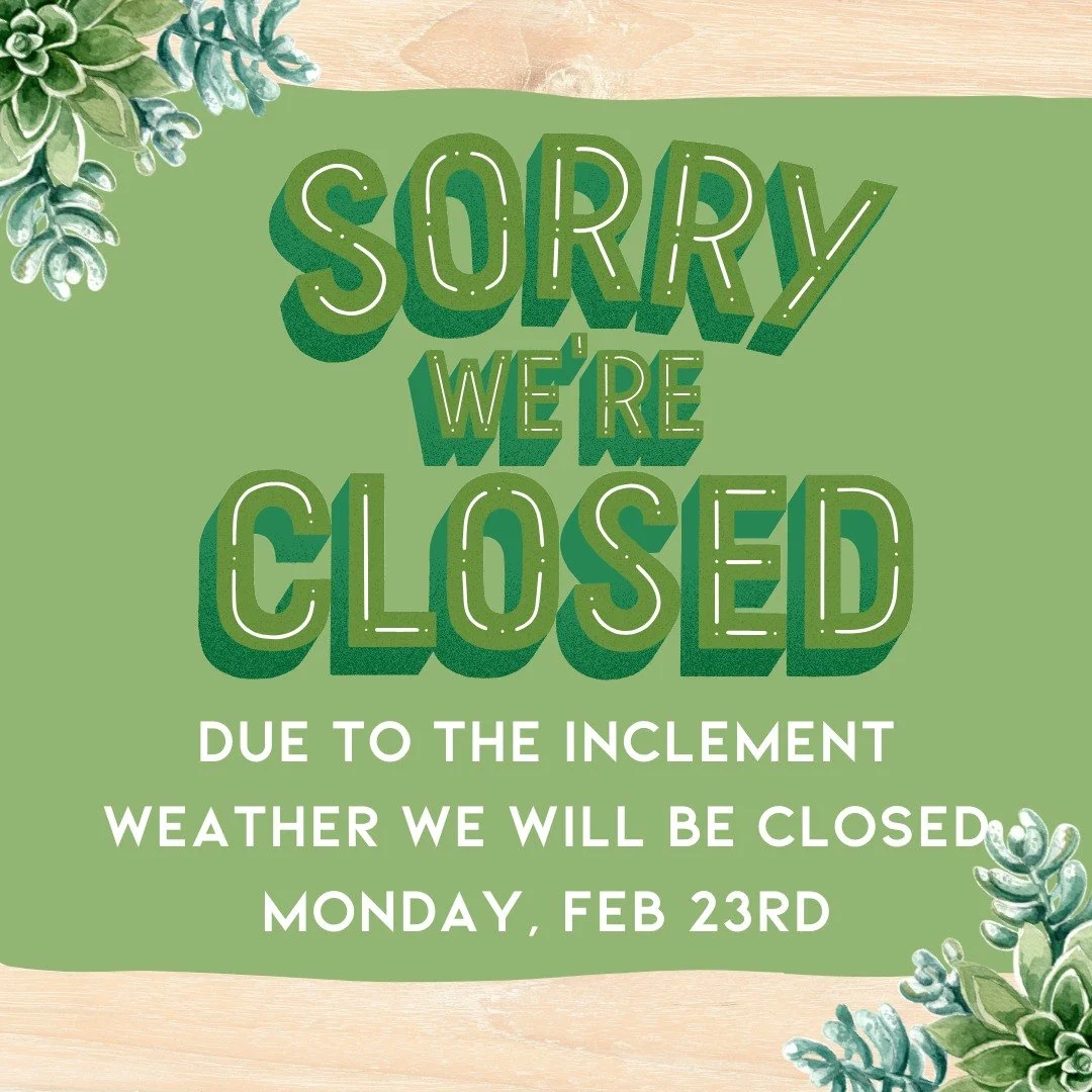 ❄️ Due to the  storm, the cafe  will be closed Monday 2/23. ❄️ Stay Safe &amp; Warm!

.
.
.
.

#ctfoodie #foodofct #lunchtime #ctcafe #wallingfordeats #newhavencountyfood #foodofnewhavencounty #hungry #eatlunch #vegan #plantbasedfoods #plantbasedrest