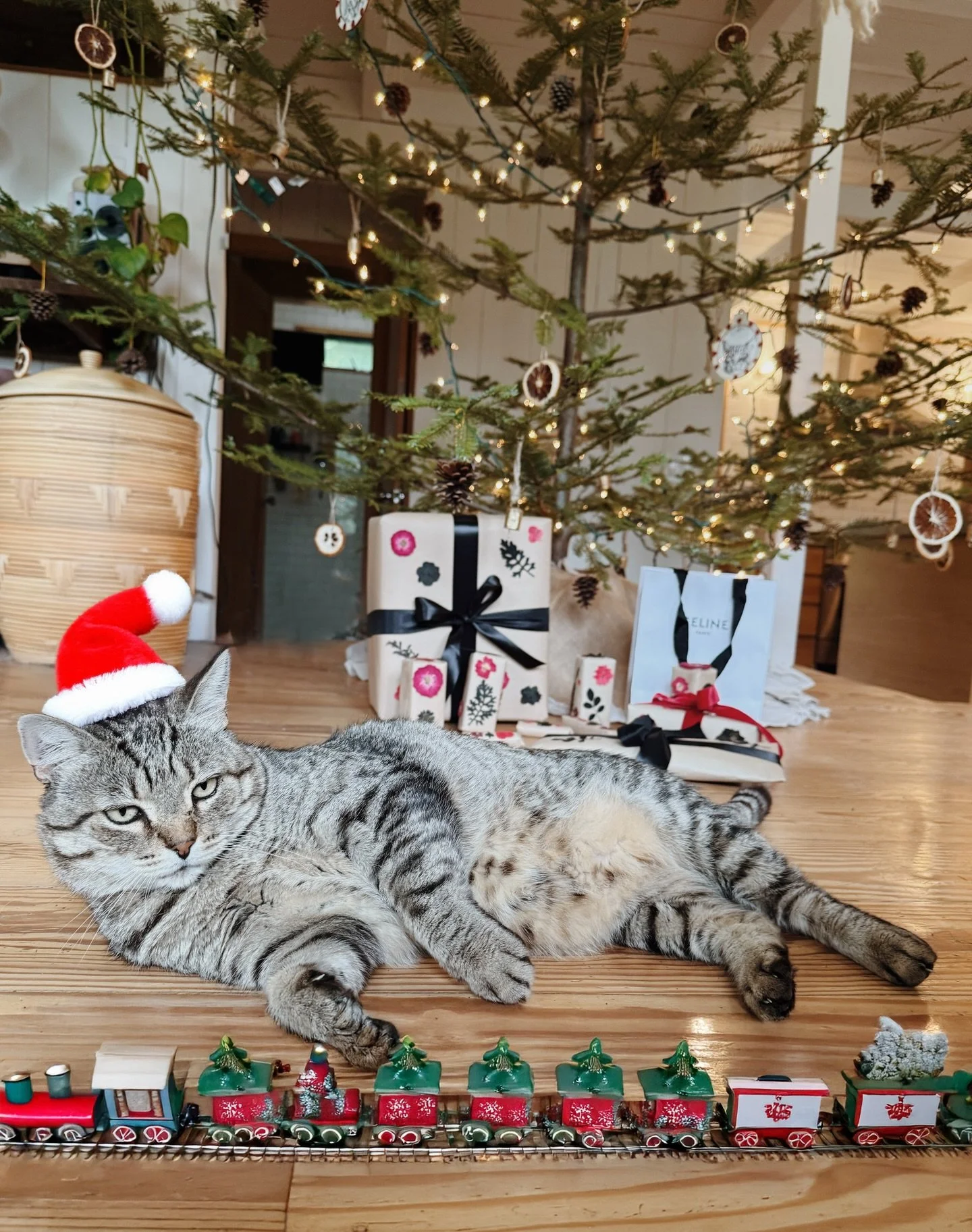 The gift that keeps on giving 🐈&zwj;⬛ + dried flower wrapped gifts 🌹🖤