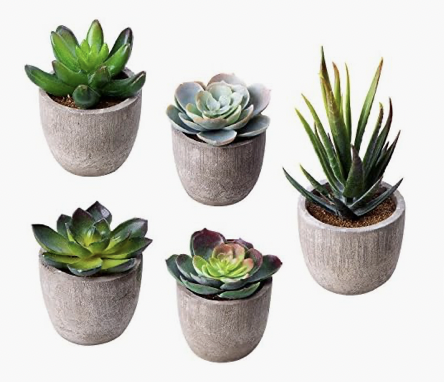 Faux Succulent Plants
