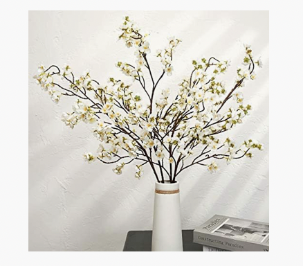 Plum Cherry Branches