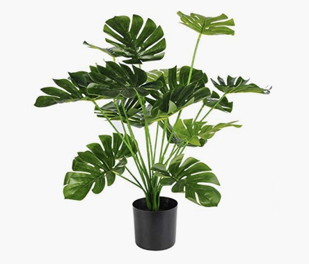 Faux Plant