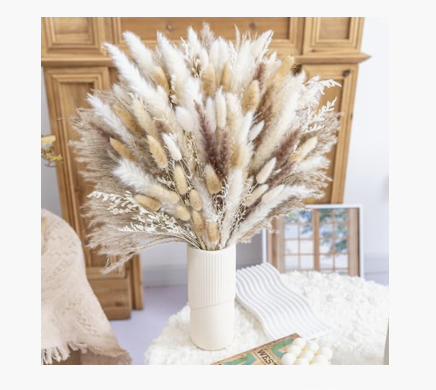 Pampas Grass