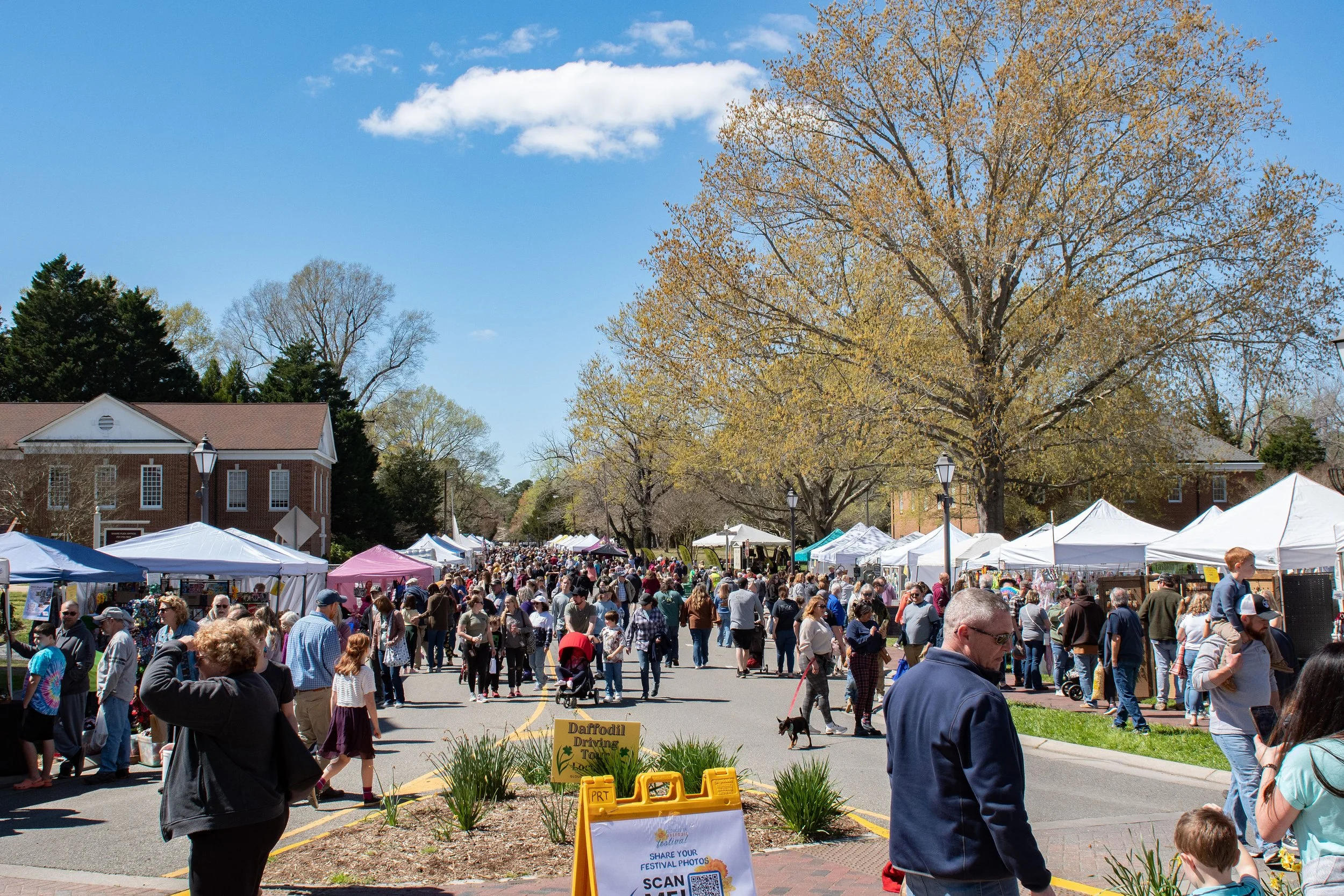 Everything’s Coming Up Daffodils The 2024 Festival Is Almost Here