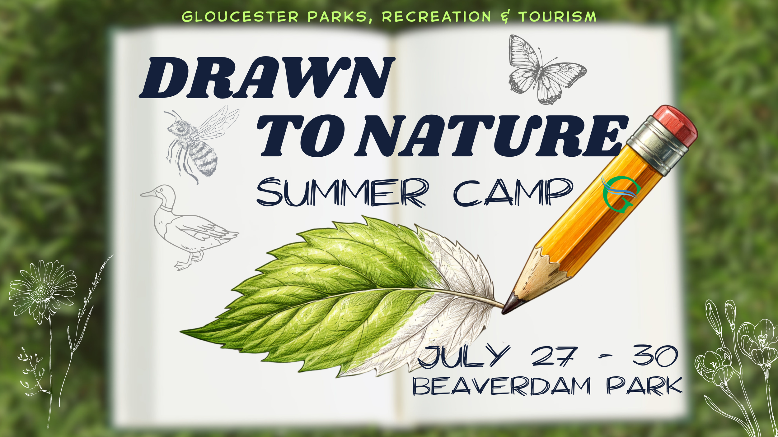 Drawn To Nature Summer Camp