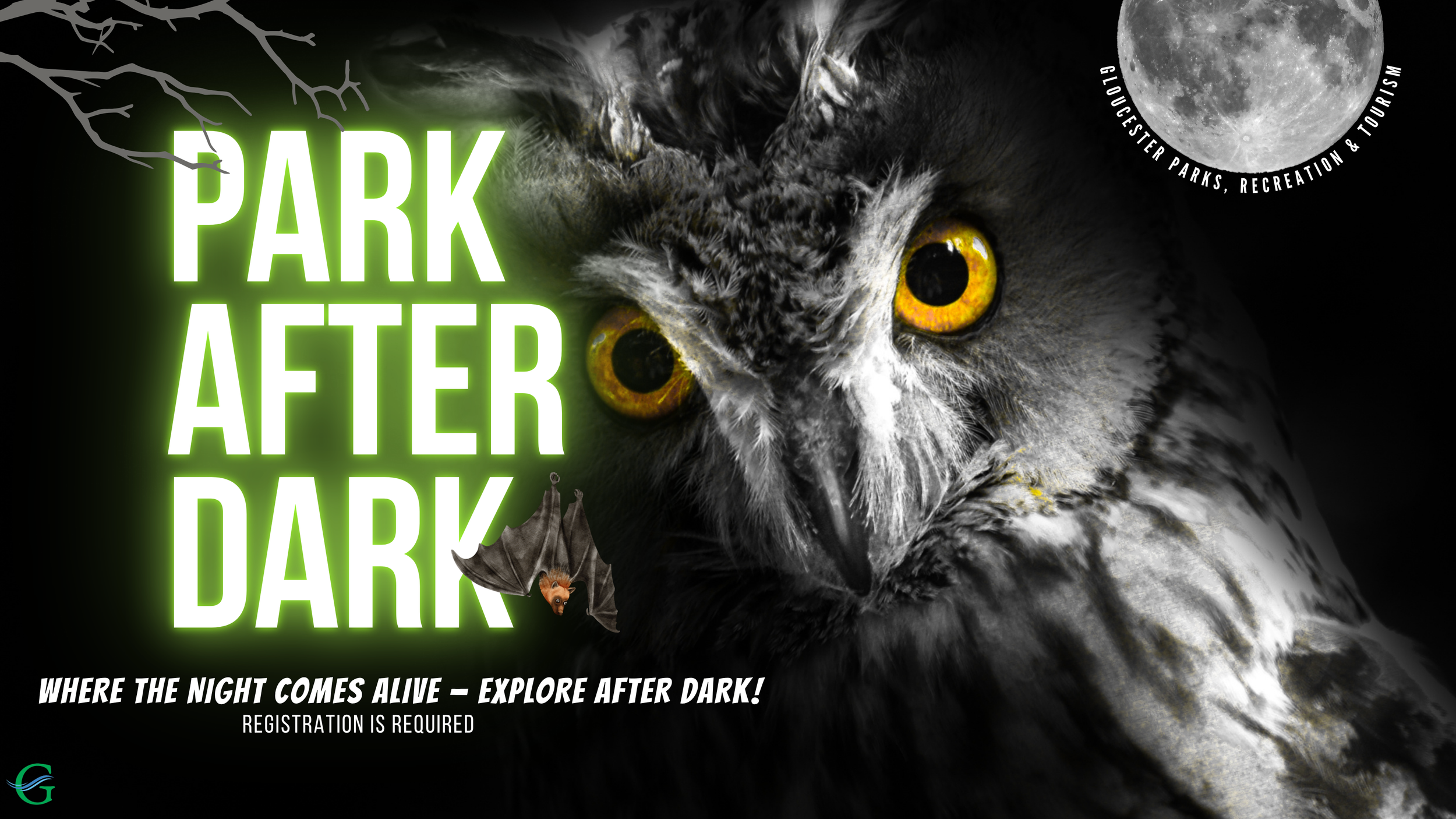 Park After Dark - June