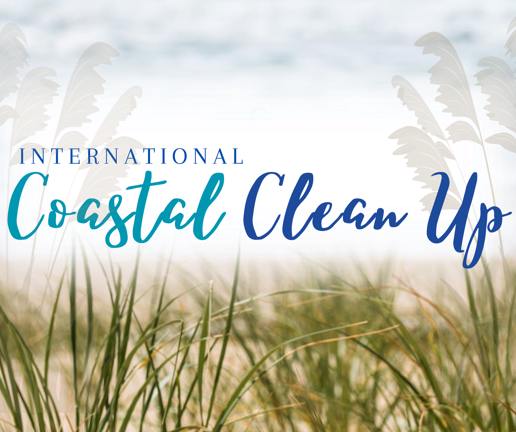 International Coastal Clean Up 2026 