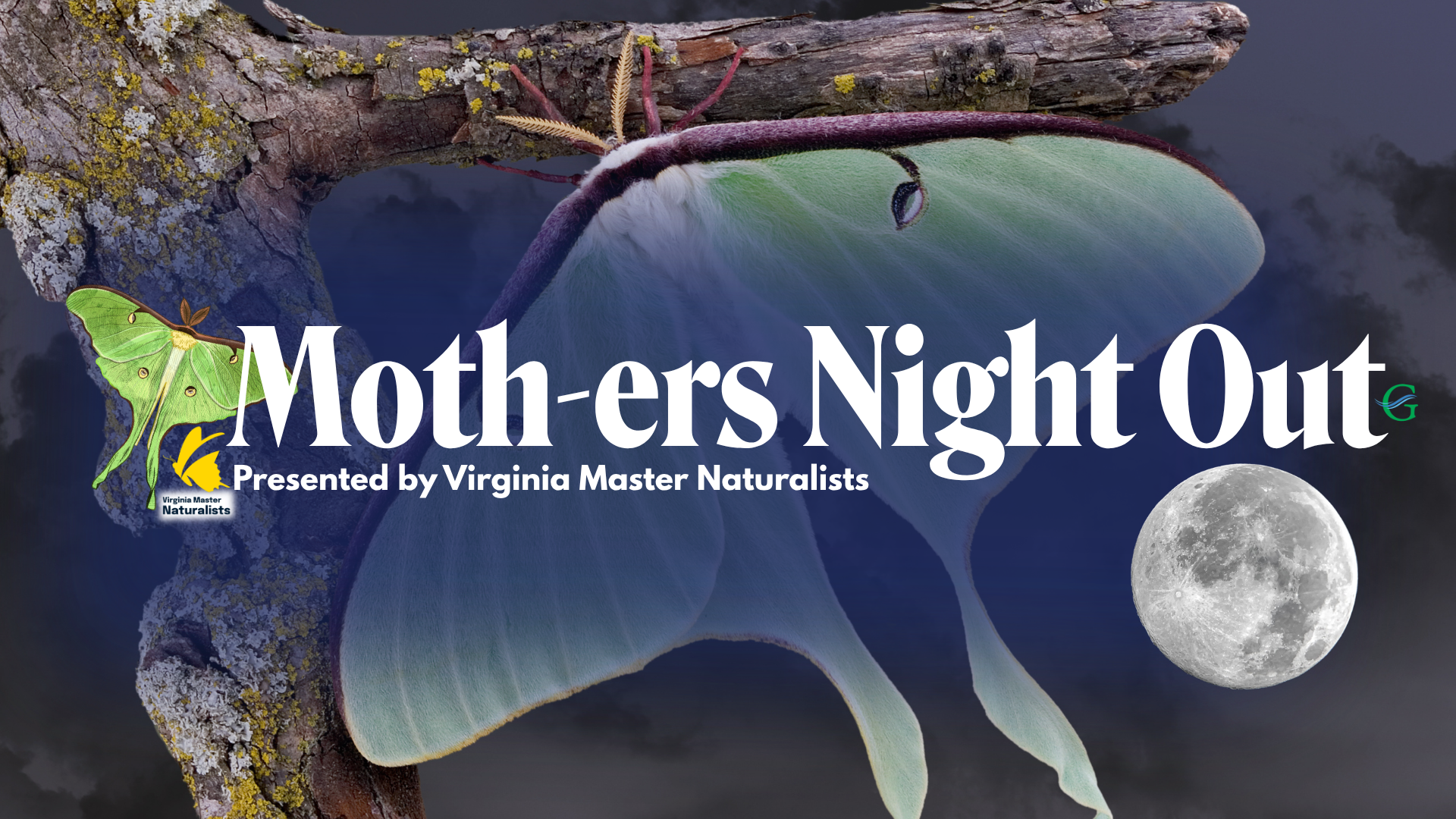 Moth-ers Night Out
