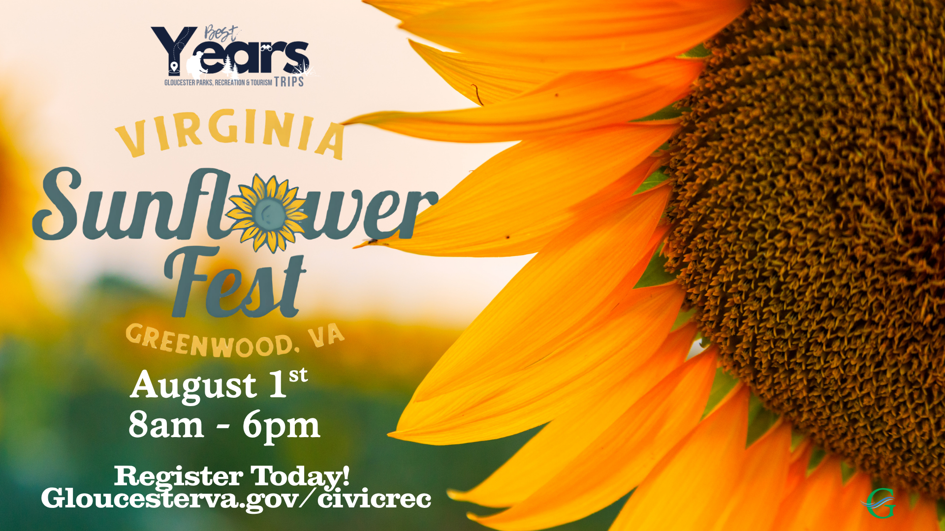 Virginia Sunflower Fest : Best Years Trip