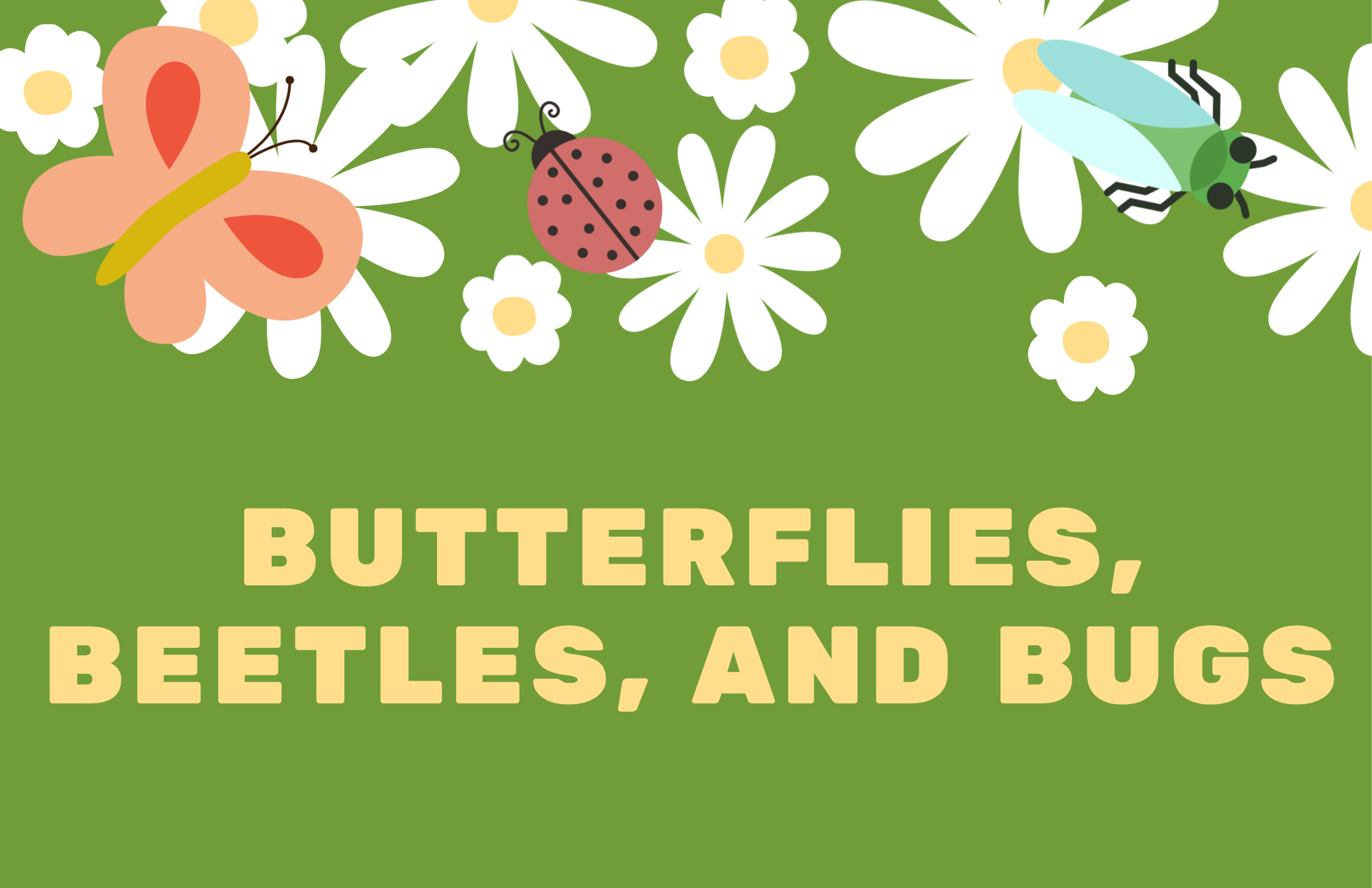 Butterflies, Beetles, and Bugs