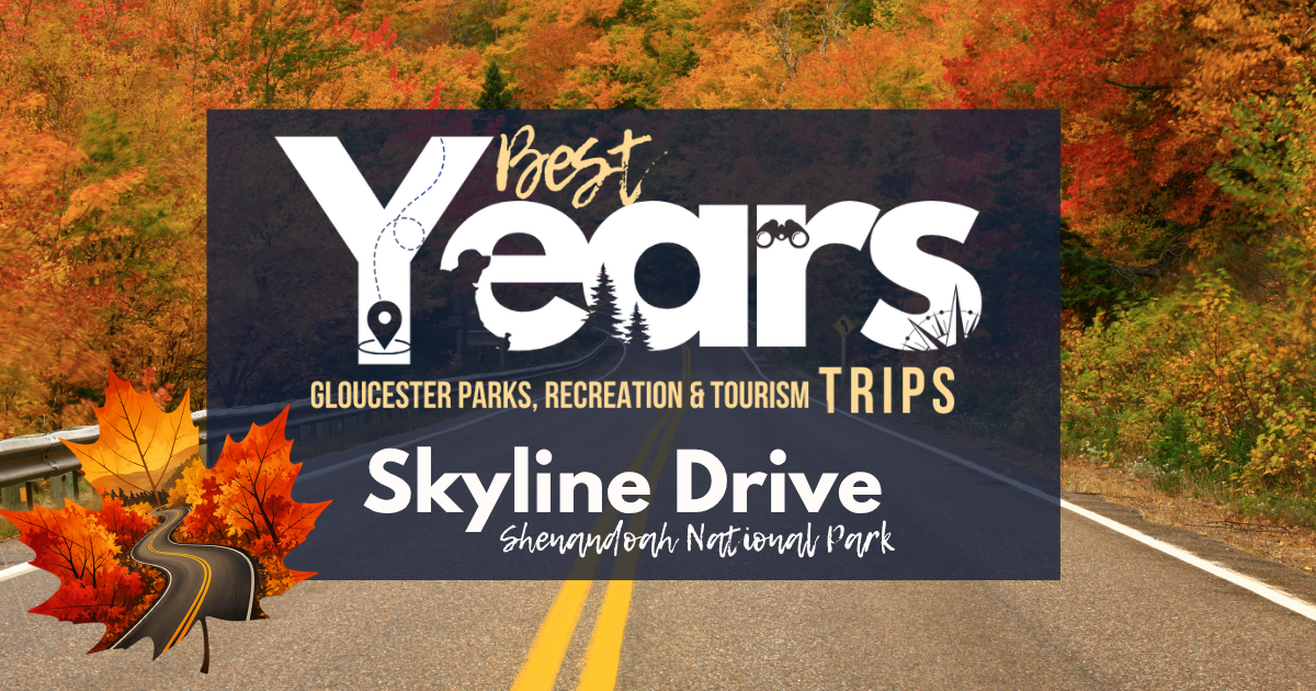 Skyline Drive: Best Years Trip