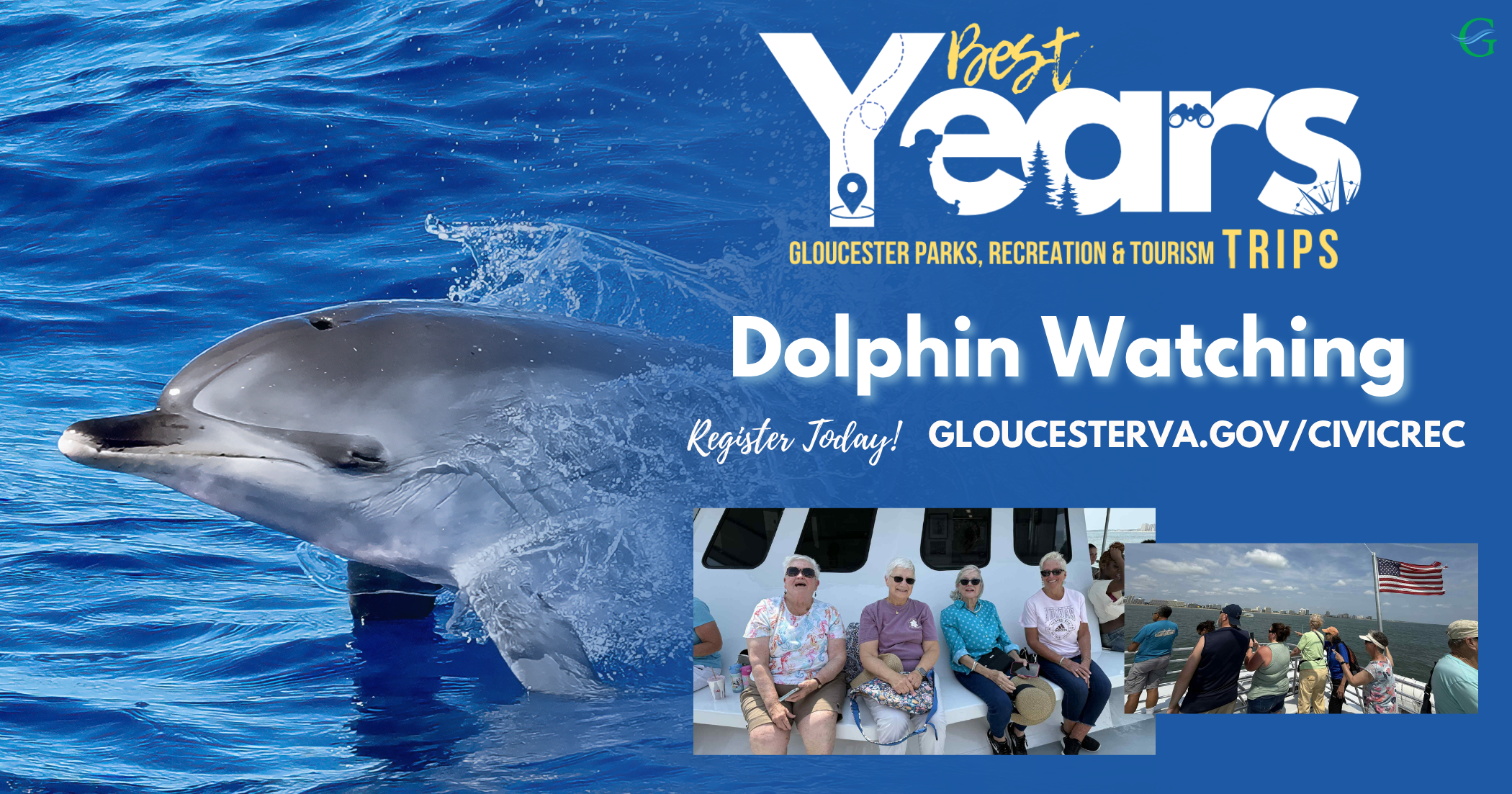 Dolphin Watching: Best Years Trip