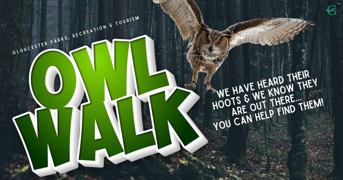 Owl Walk ( 16+)