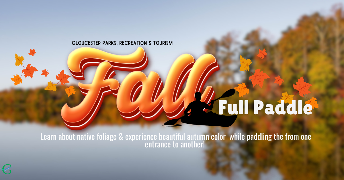 Fall Foliage Paddle