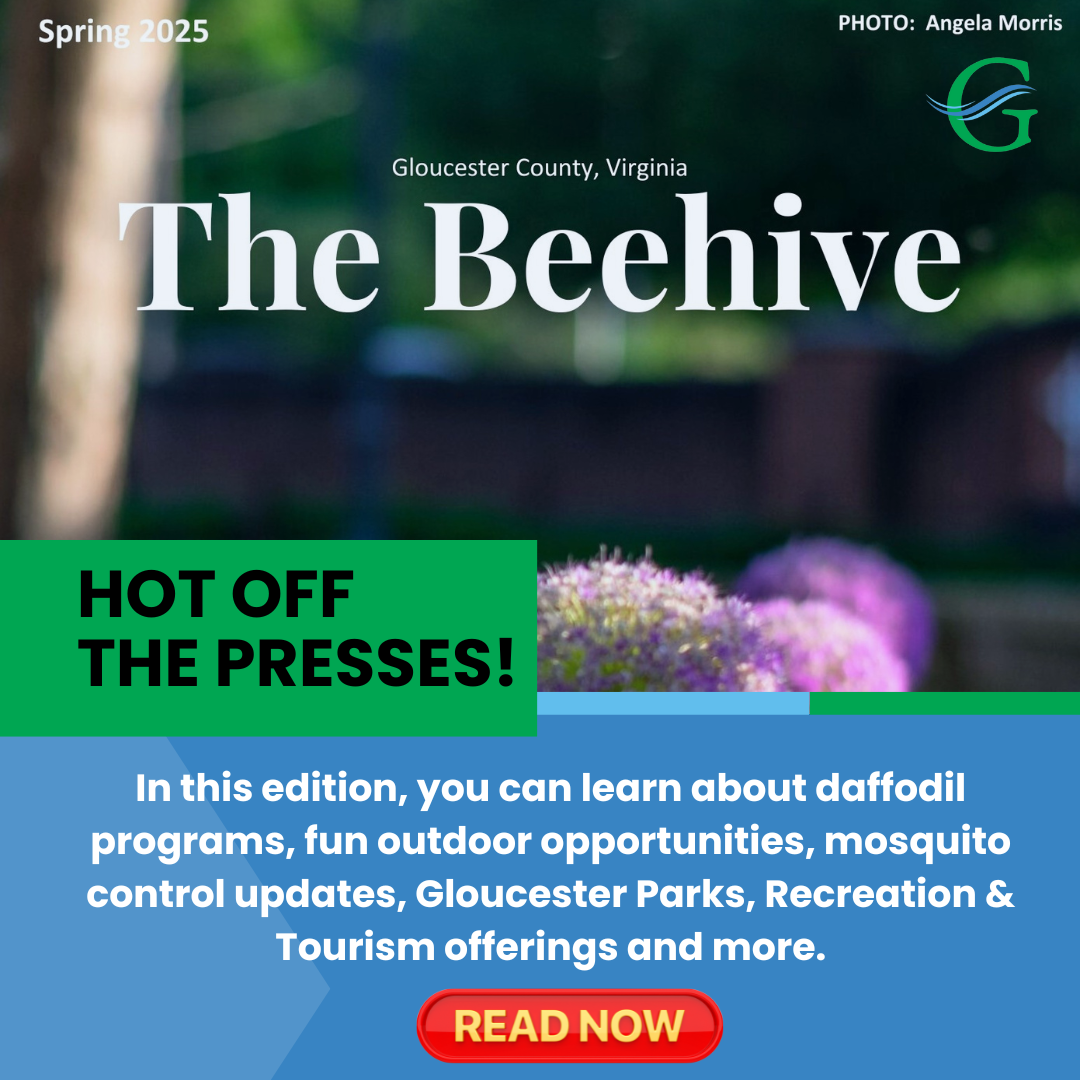 Gloucester County VA