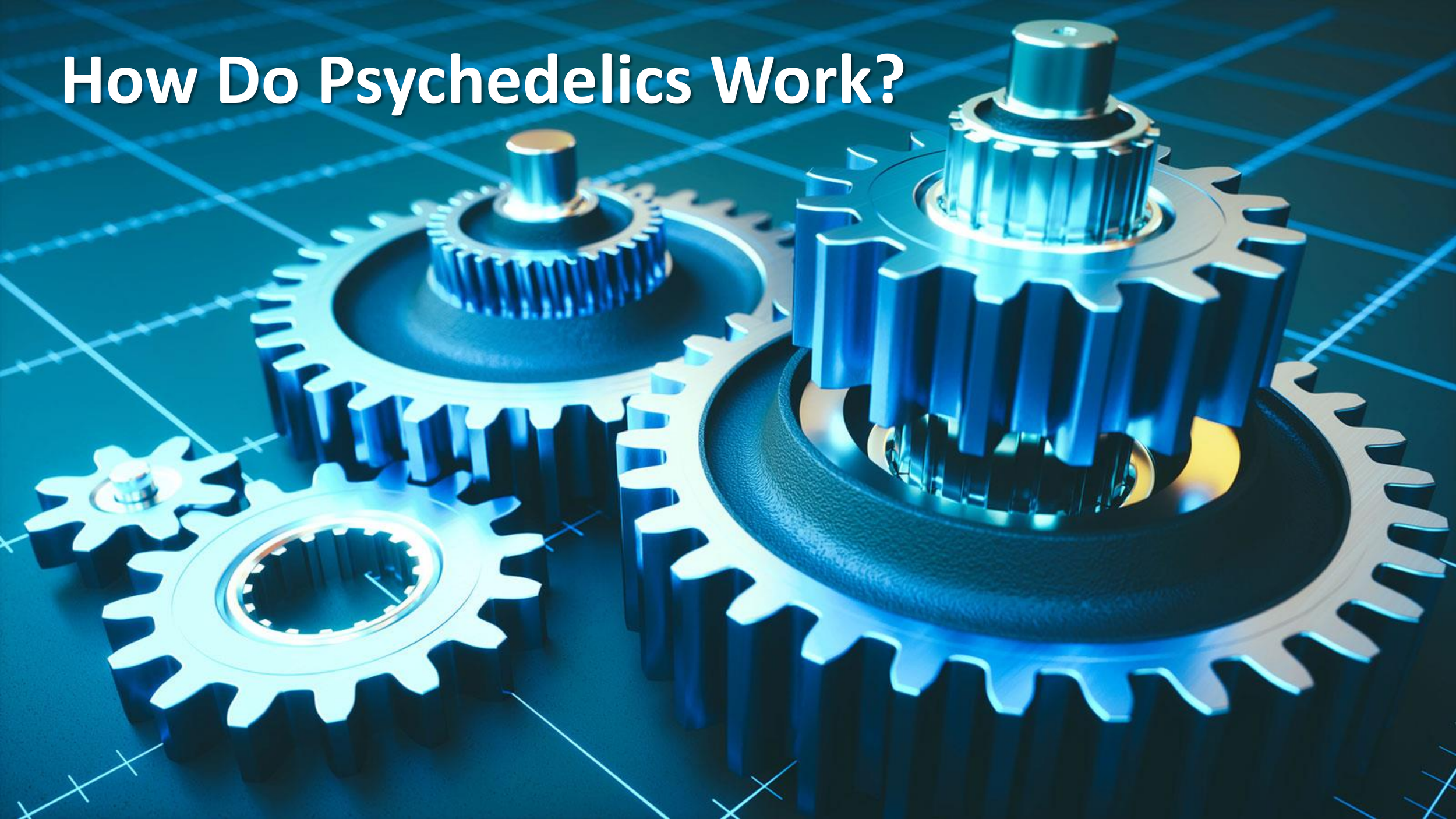 5+1 Questions that will determine psychedelics in mainstream medicine Vermont 2022-23.png