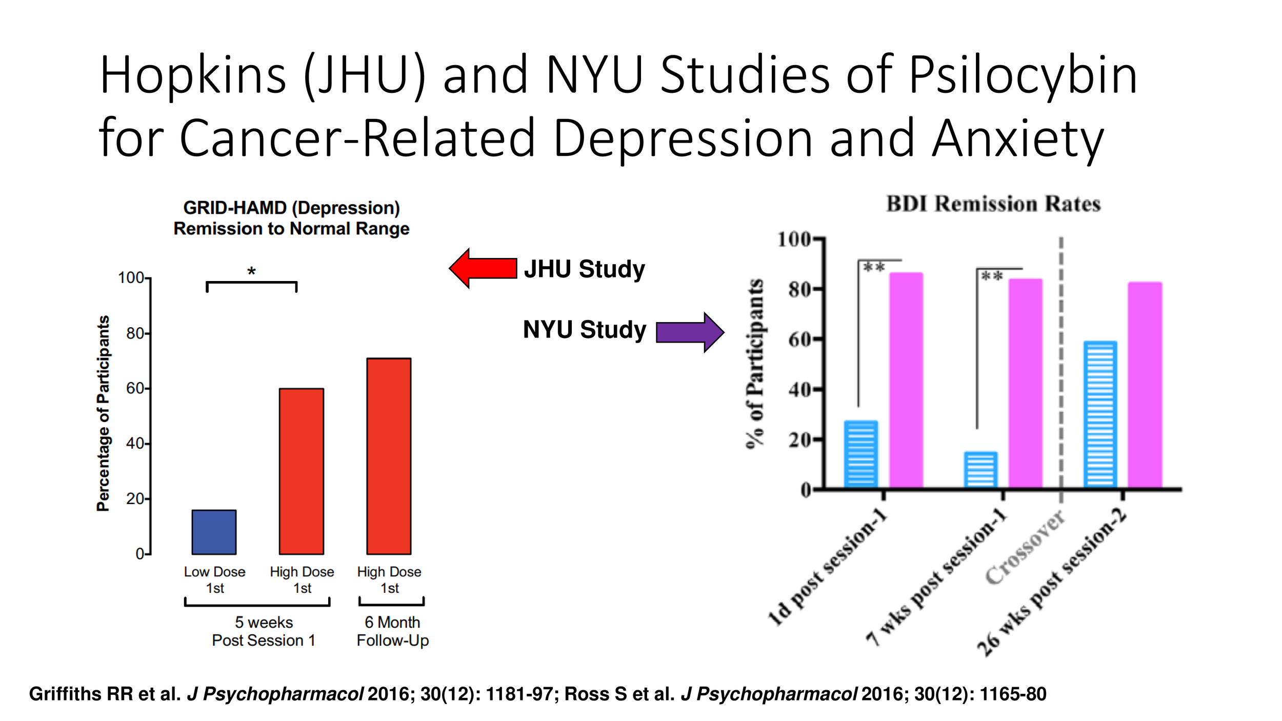 5+1 Questions that will determine psychedelics in mainstream medicine Vermont 2022-5.png