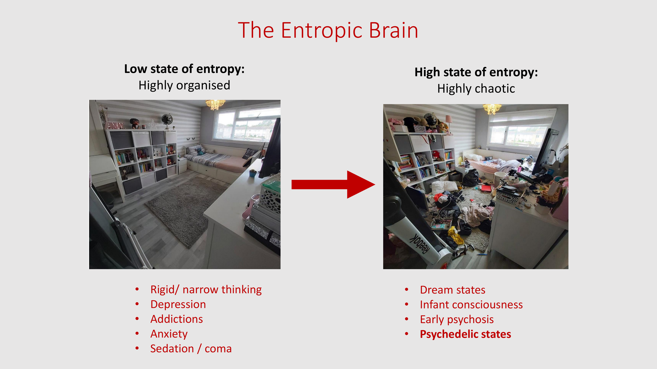Introduction to The Psychedelic Renniasance - Vermont Psychedleics Conference - June 2022-9.png