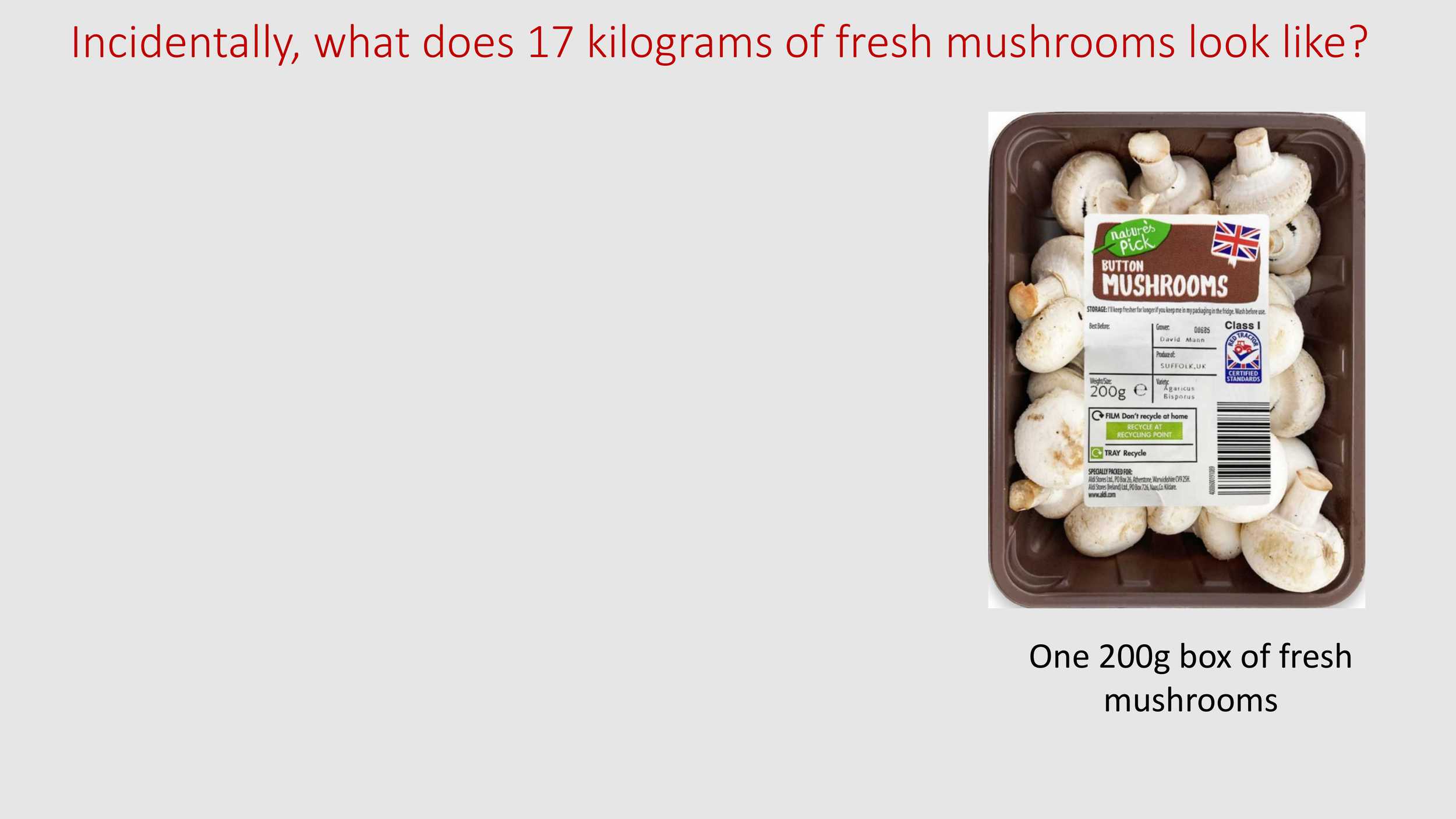 Introduction to The Psychedelic Renniasance - Vermont Psychedleics Conference - June 2022-22.png