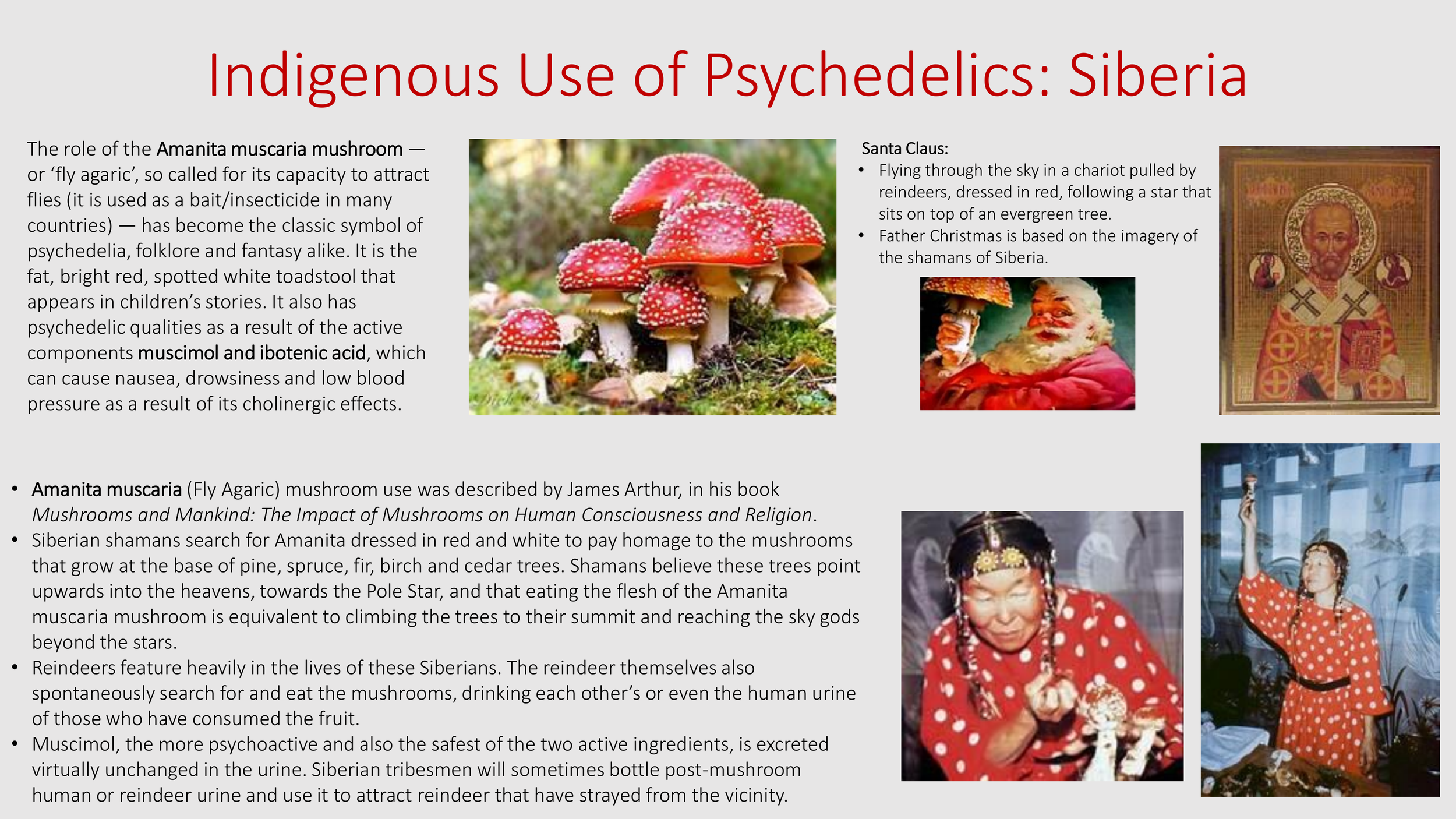 Introduction to The Psychedelic Renniasance - Vermont Psychedleics Conference - June 2022-31.png