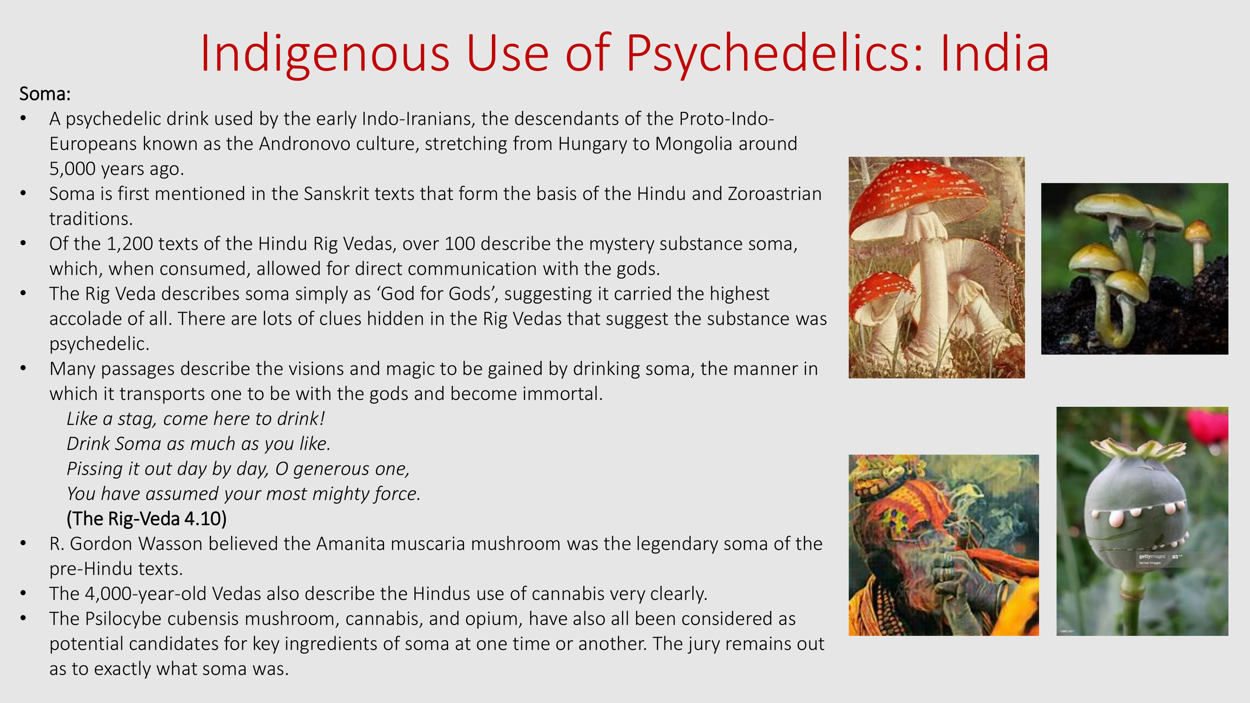 Introduction to The Psychedelic Renniasance - Vermont Psychedleics Conference - June 2022-32.png