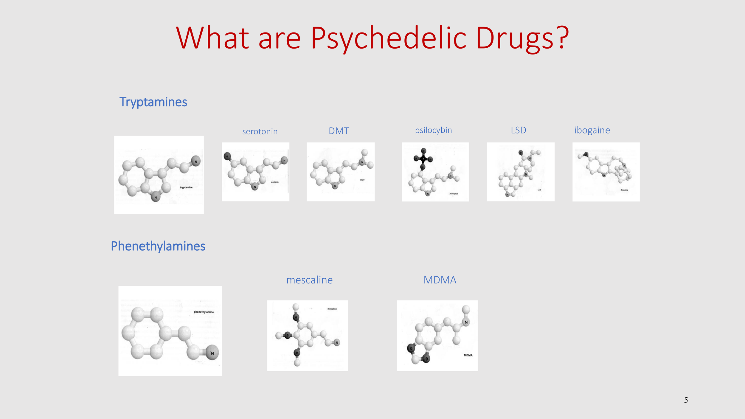 Introduction to The Psychedelic Renniasance - Vermont Psychedleics Conference - June 2022-5.png