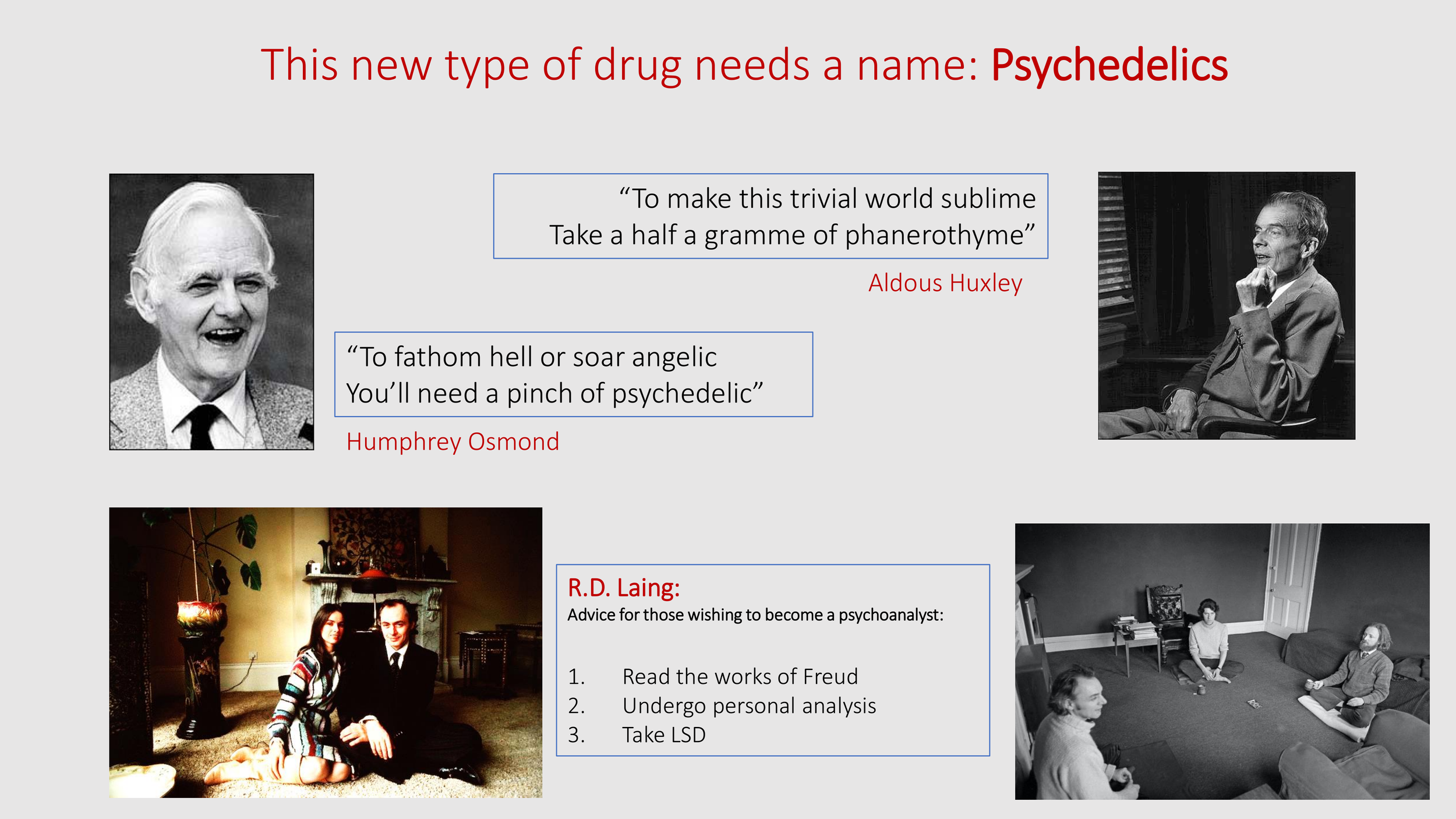 Introduction to The Psychedelic Renniasance - Vermont Psychedleics Conference - June 2022-41.png